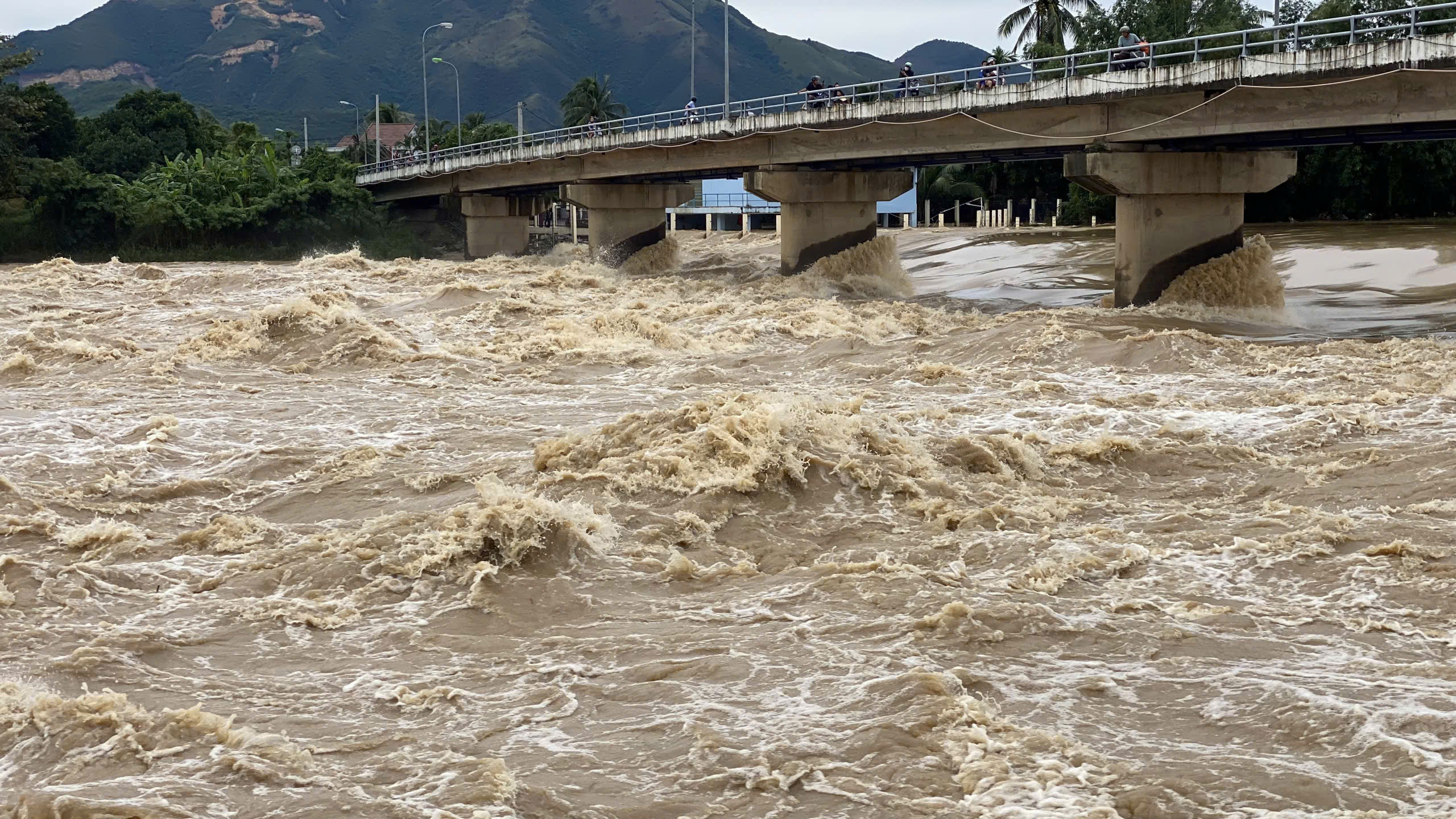Lũ vượt báo động 3 trên hai sông Cái lớn nhất Khánh Hòa, cảnh báo ngập lụt - Ảnh 1. Lũ vượt báo động 3 trên hai sông Cái lớn nhất Khánh Hòa, cảnh báo ngập lụt - Ảnh 1.