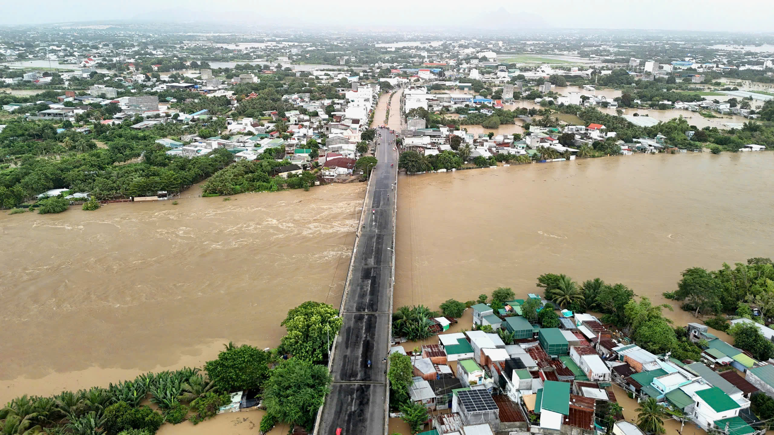 - Ảnh 7. - Ảnh 7.