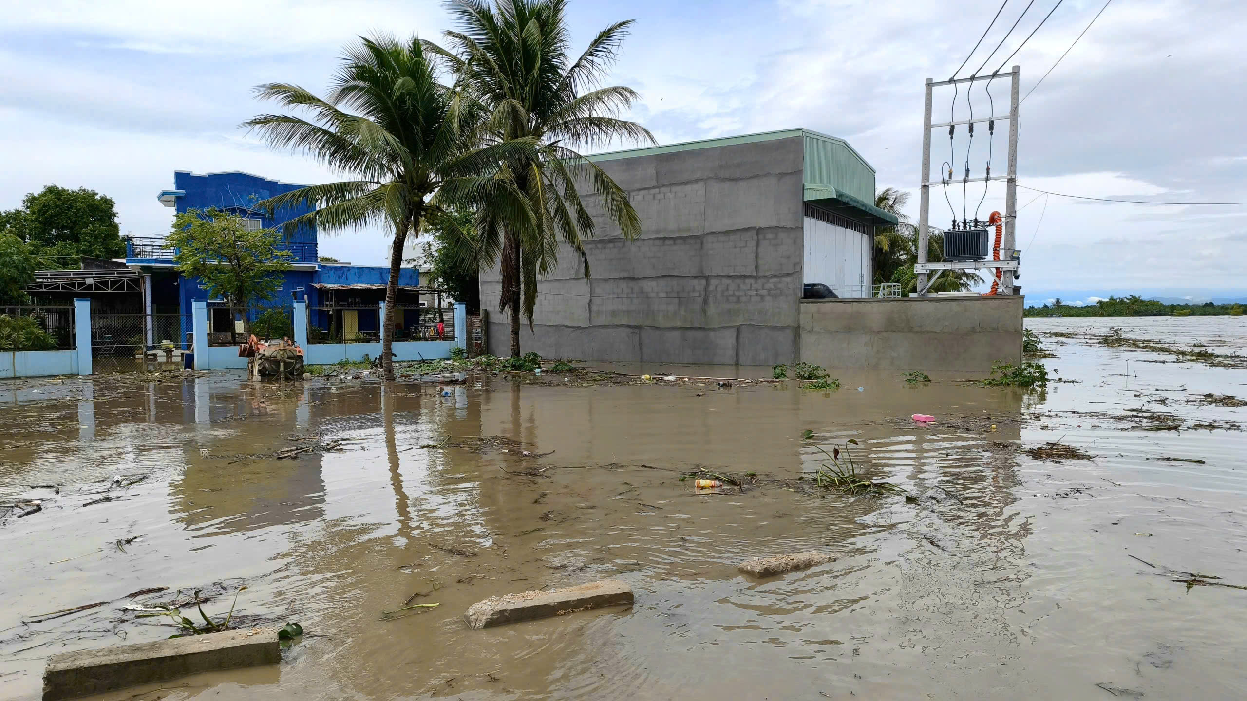 - Ảnh 8. - Ảnh 8.