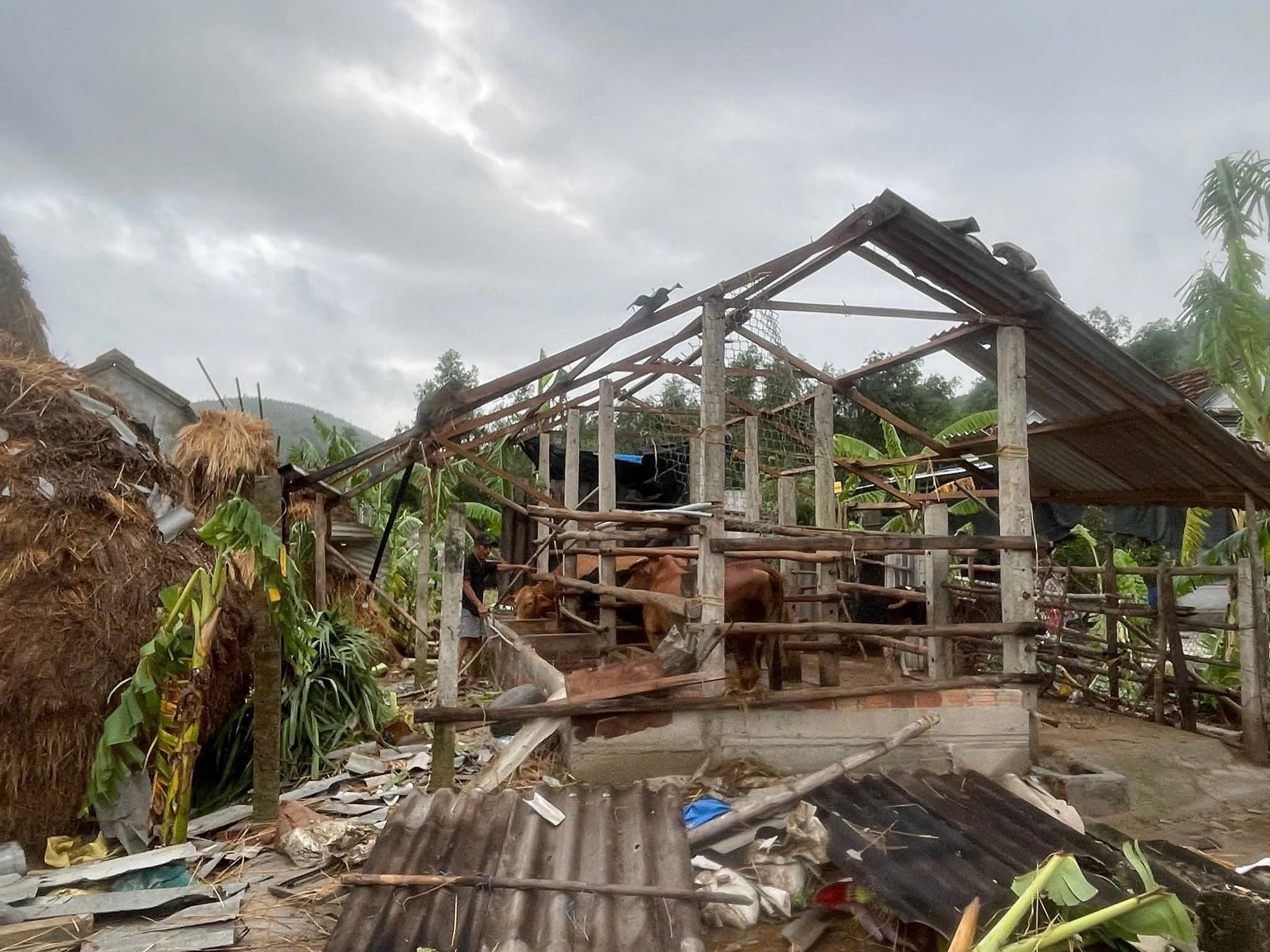 - Ảnh 3. - Ảnh 3.