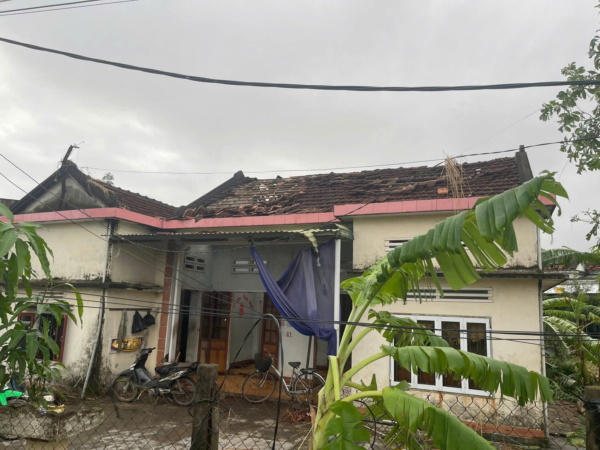 - Ảnh 4. - Ảnh 4.