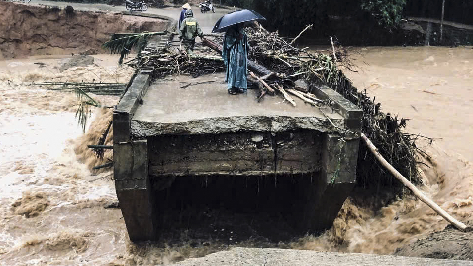 - Ảnh 2. - Ảnh 2.