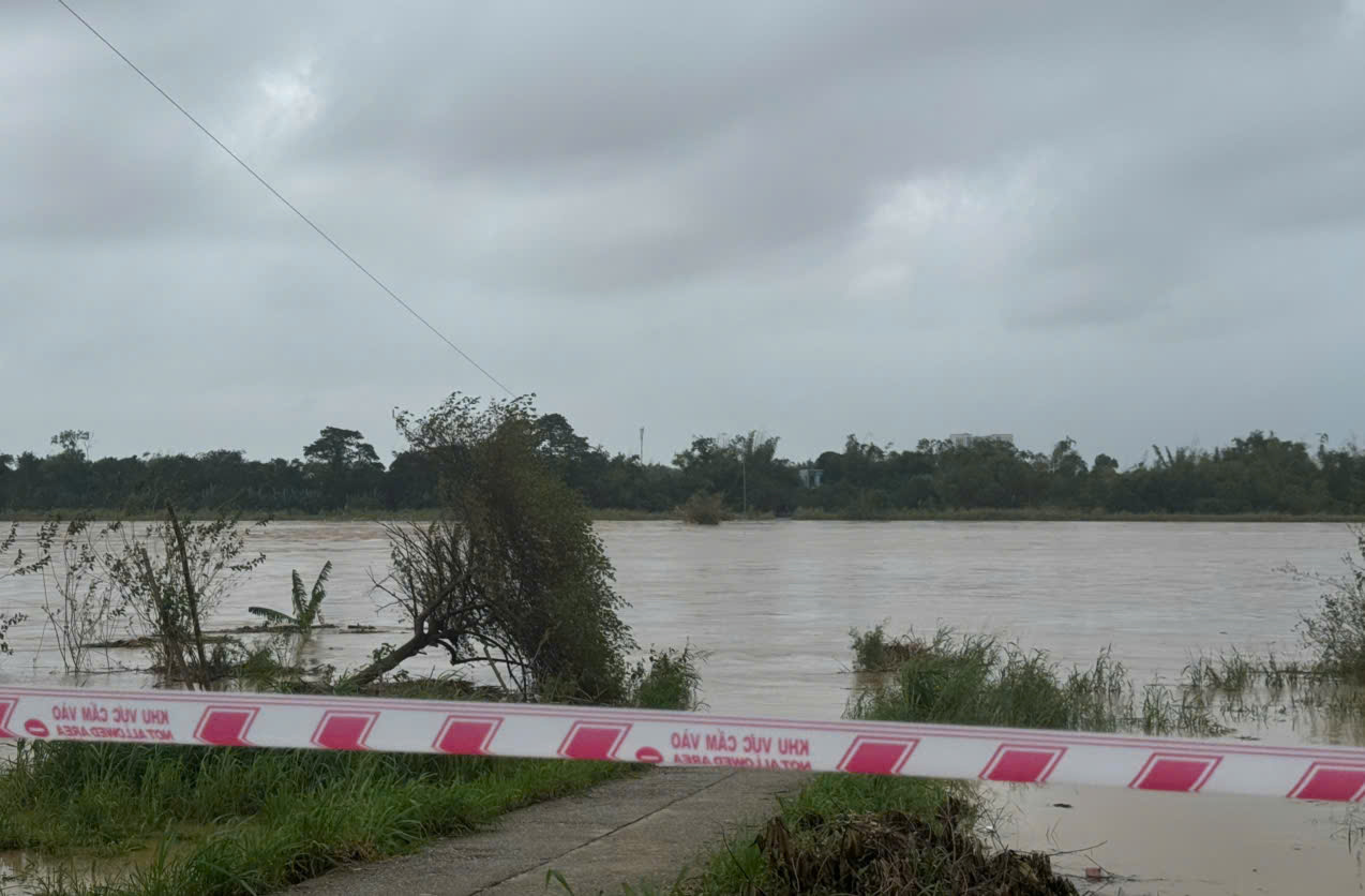 - Ảnh 5. - Ảnh 5.