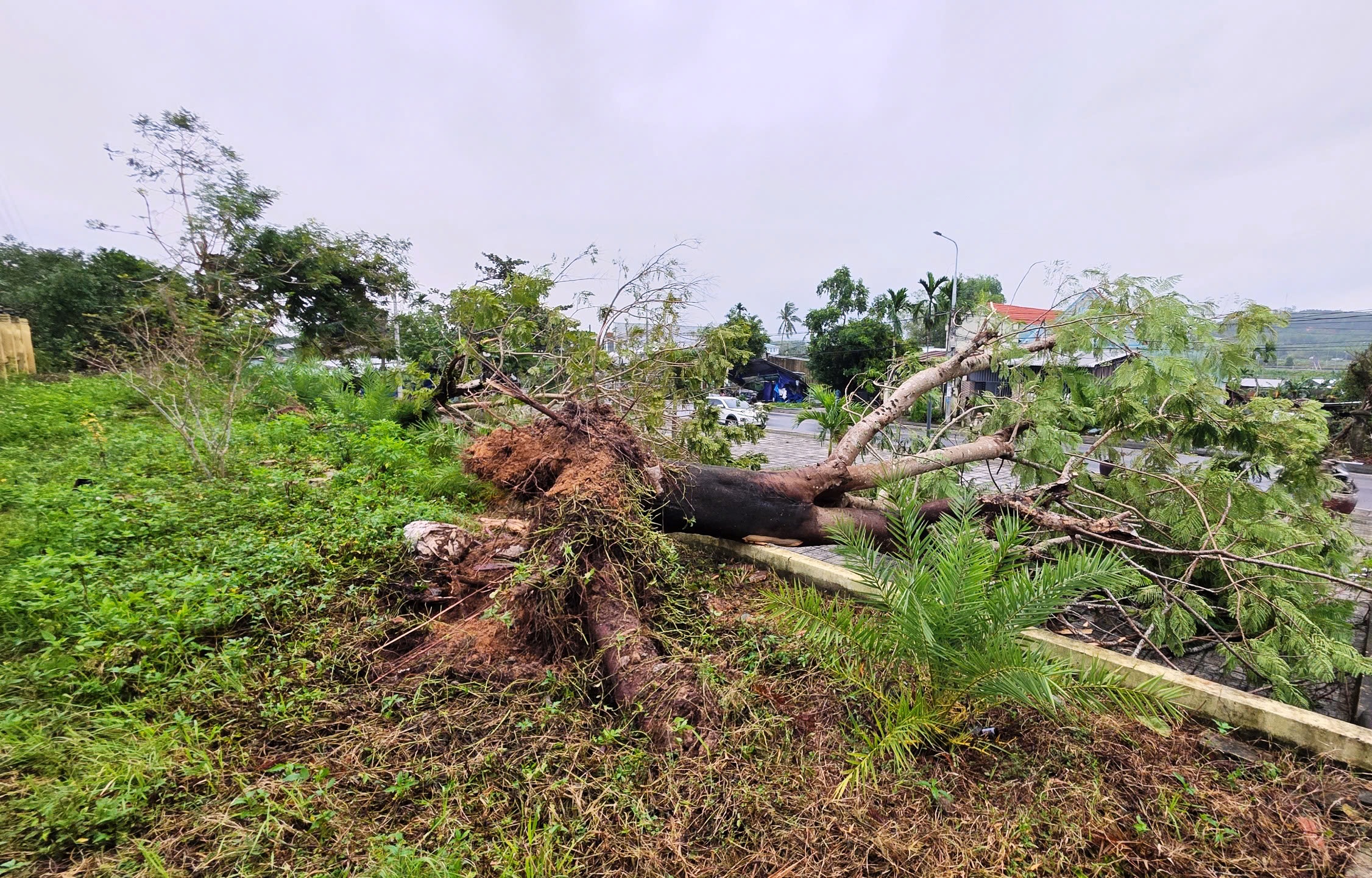 ‘Lốc xoáy kèm ánh sáng kỳ lạ quét qua mấy chục giây mà cuốn phăng tất cả’- Ảnh 2. ‘Lốc xoáy kèm ánh sáng kỳ lạ quét qua mấy chục giây mà cuốn phăng tất cả’- Ảnh 2.