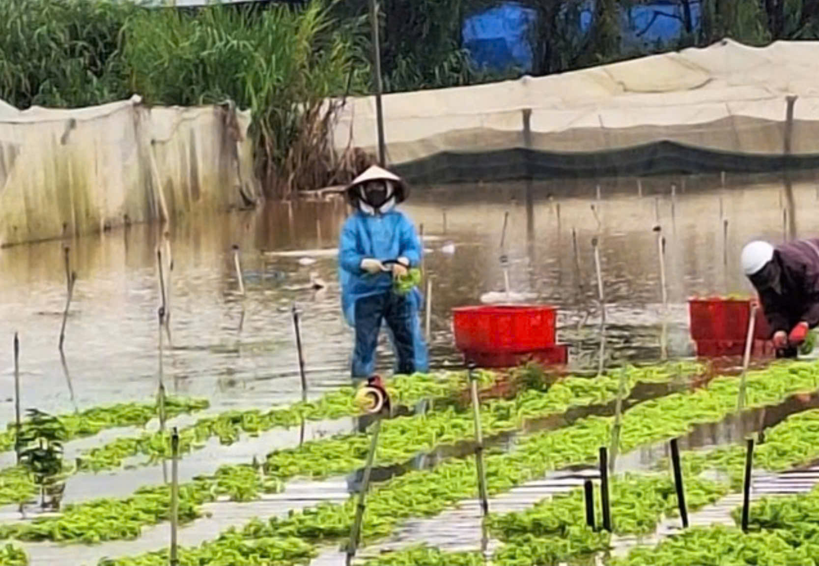 Thủy điện Đa Nhim tăng lưu lượng xả lũ, vùng hạ lưu bị ngập - Ảnh 3.