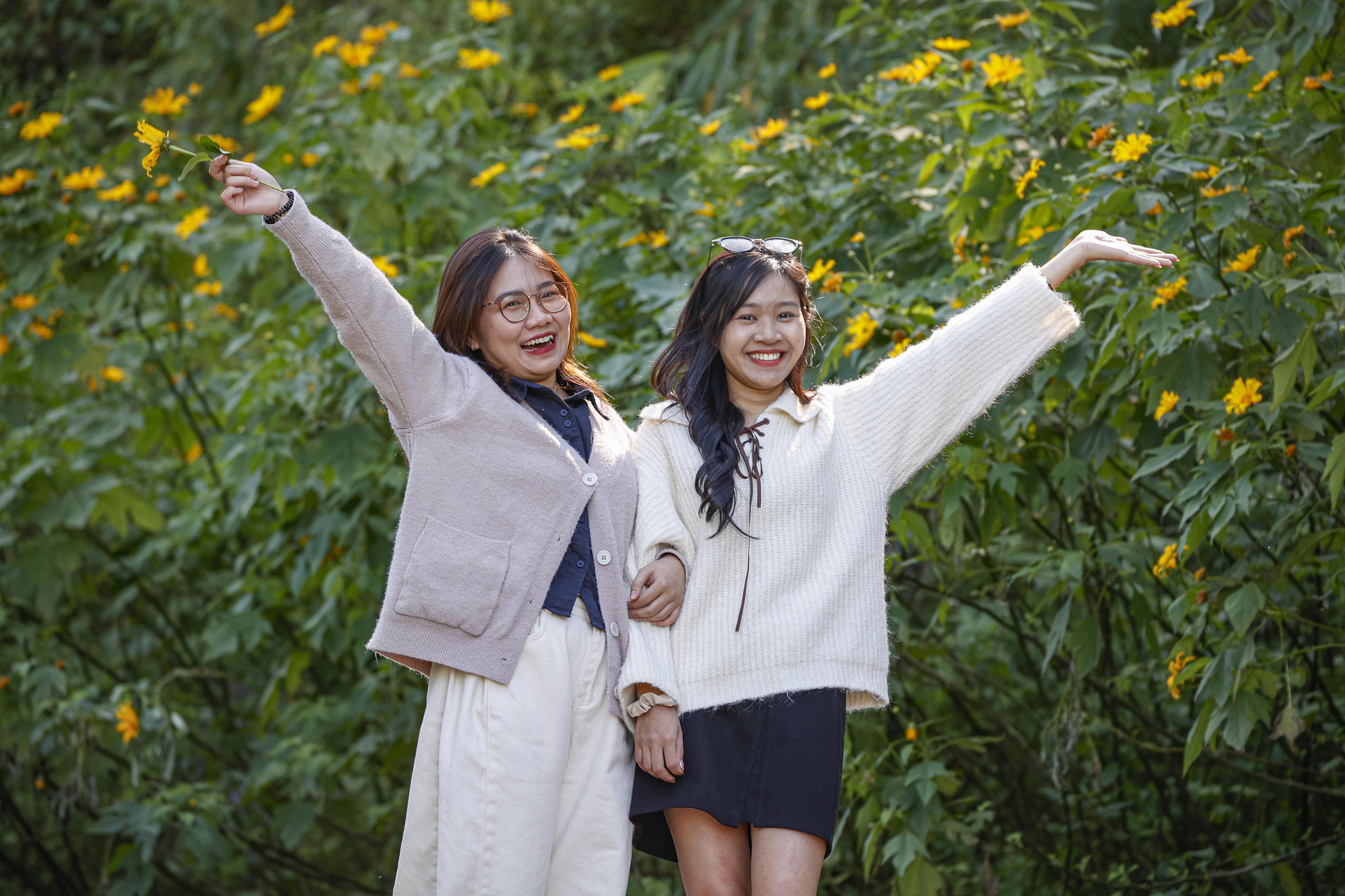 Dã quỳ trải vàng lối lên núi Ba Vì - Ảnh 6.