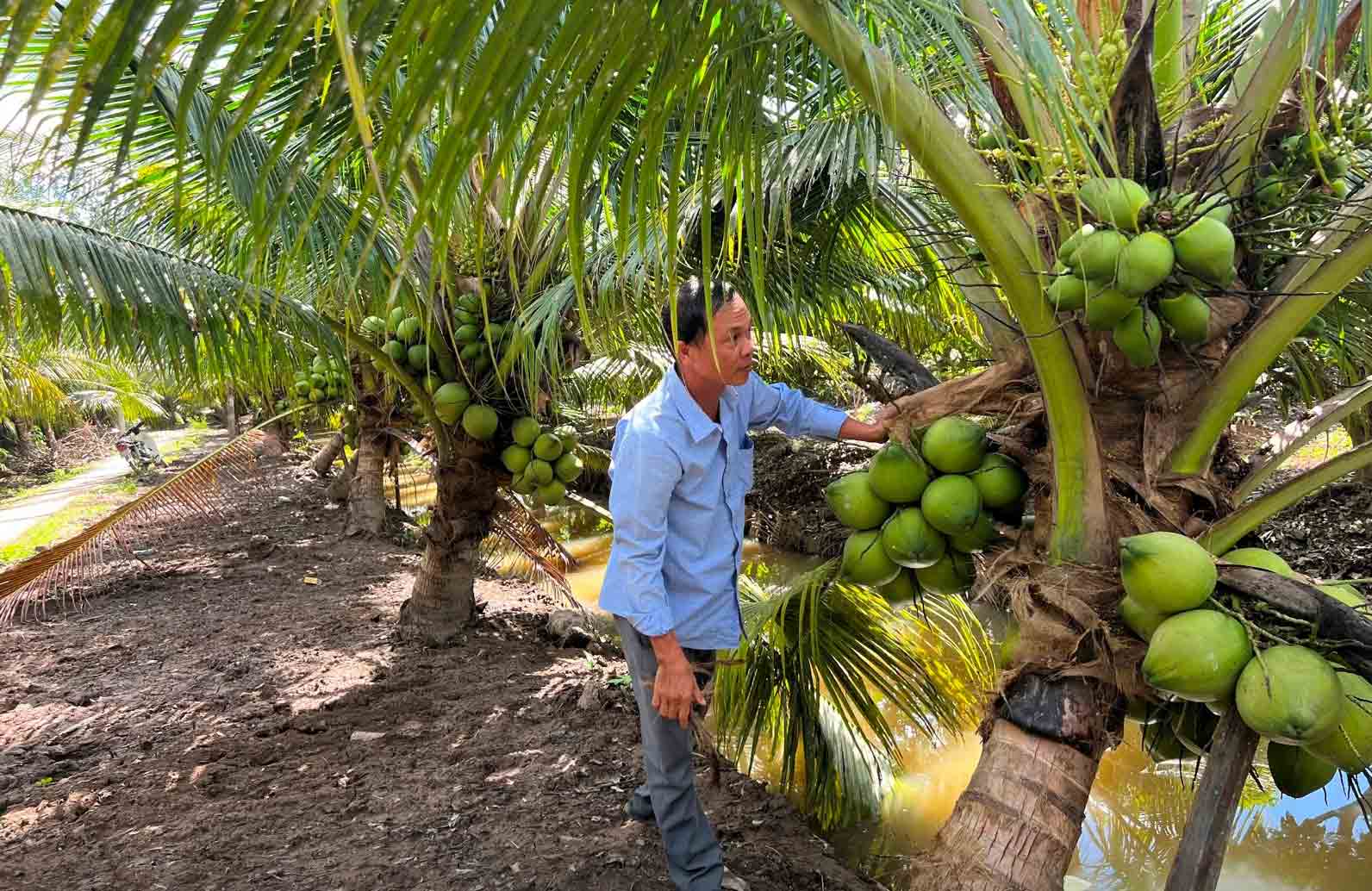 Mặt hàng nào sẽ hưởng lợi khi Mỹ miễn thuế đối ứng?- Ảnh 1. Mặt hàng nào sẽ hưởng lợi khi Mỹ miễn thuế đối ứng?- Ảnh 1.