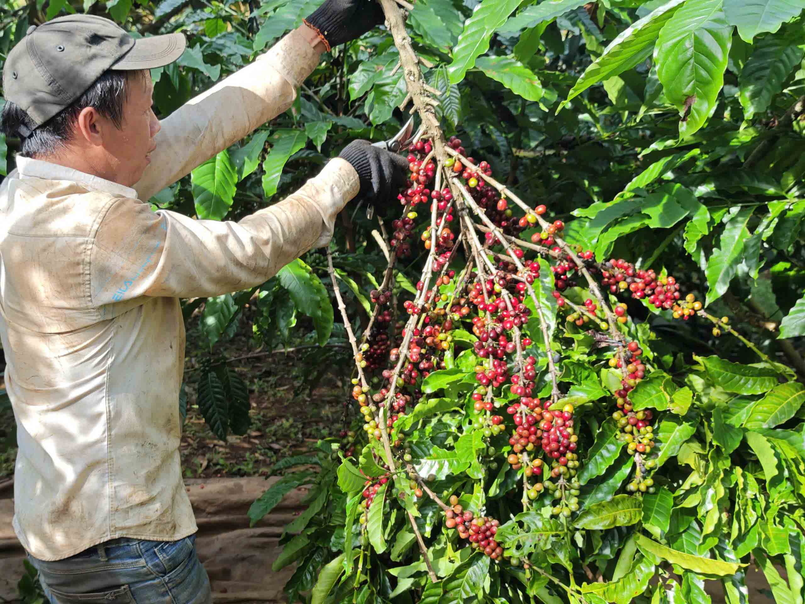 Mặt hàng nào sẽ hưởng lợi khi Mỹ miễn thuế đối ứng?- Ảnh 2. Mặt hàng nào sẽ hưởng lợi khi Mỹ miễn thuế đối ứng?- Ảnh 2.