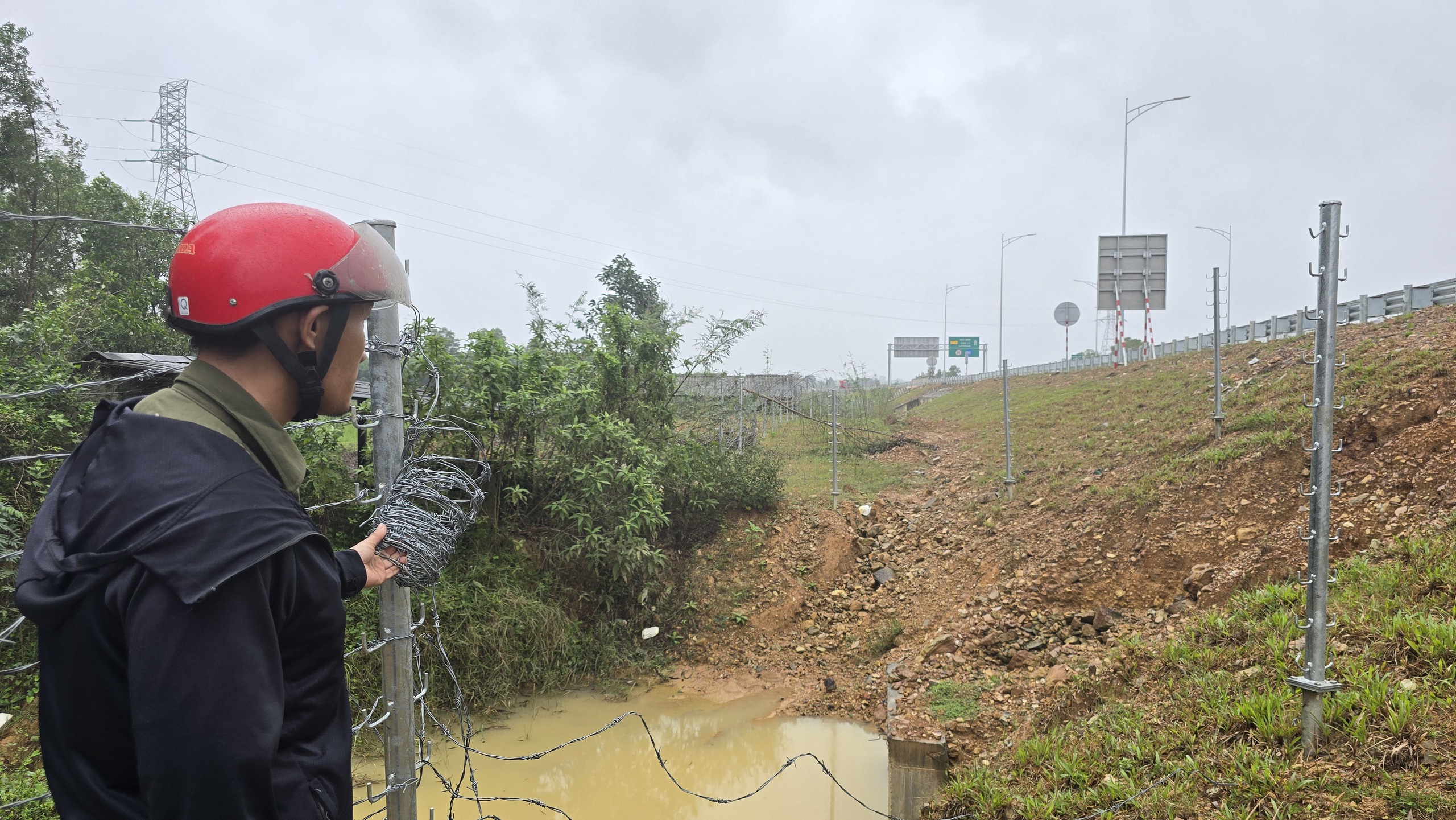 Thực hư việc người dân tháo rào để bò đi vào cao tốc Vạn Ninh - Cam Lộ- Ảnh 4. Thực hư việc người dân tháo rào để bò đi vào cao tốc Vạn Ninh - Cam Lộ- Ảnh 4.