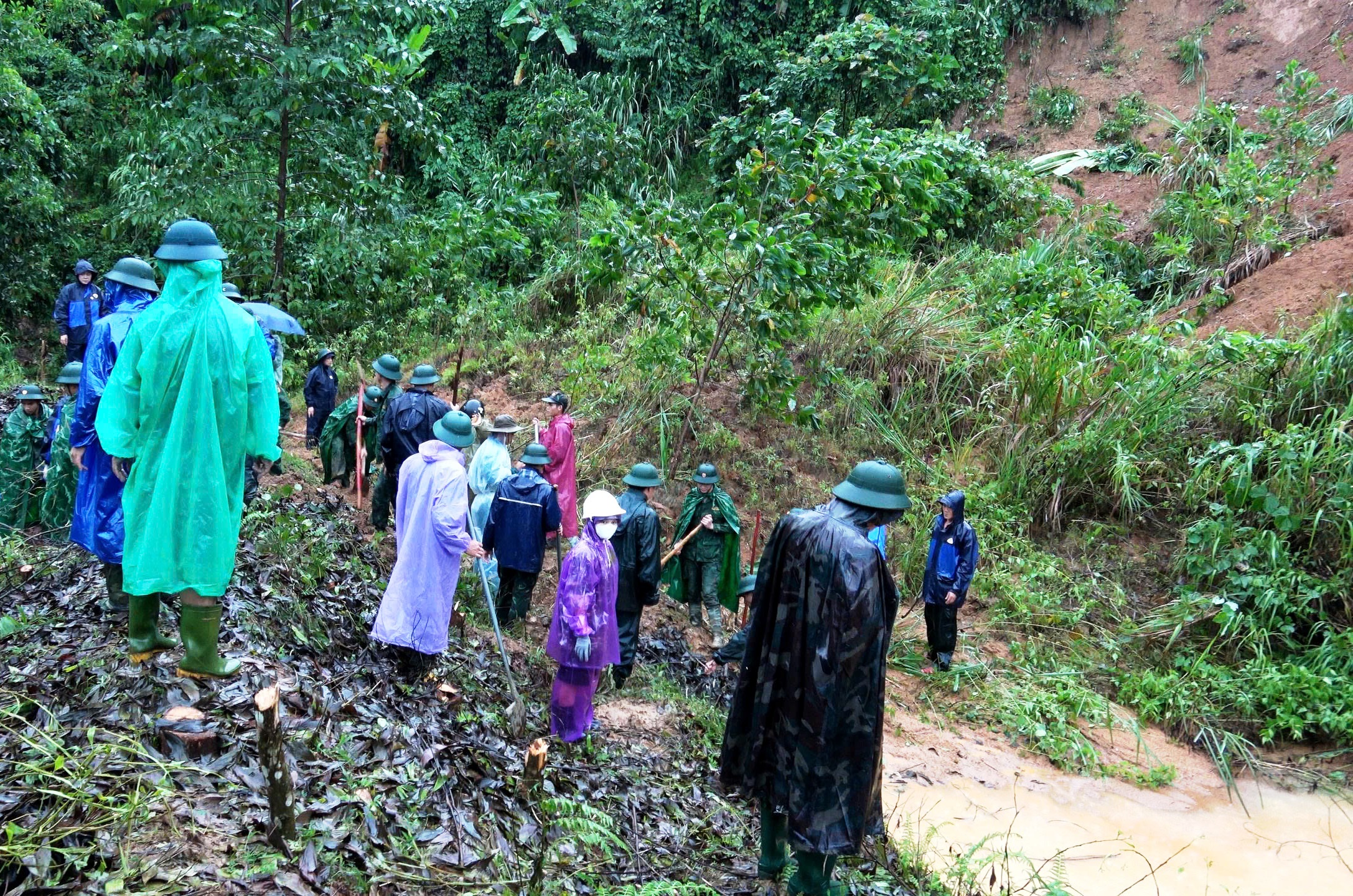 Sạt lở 'bủa vây' vùng cao TP.Đà Nẵng: Xuất hiện sụt lún nghiêm trọng dài 200 m- Ảnh 4.