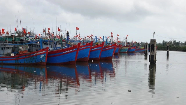 Đề xuất Chủ tịch xã có thể phạt 500 triệu đối với vi phạm trên biển, đảo - Ảnh 1.