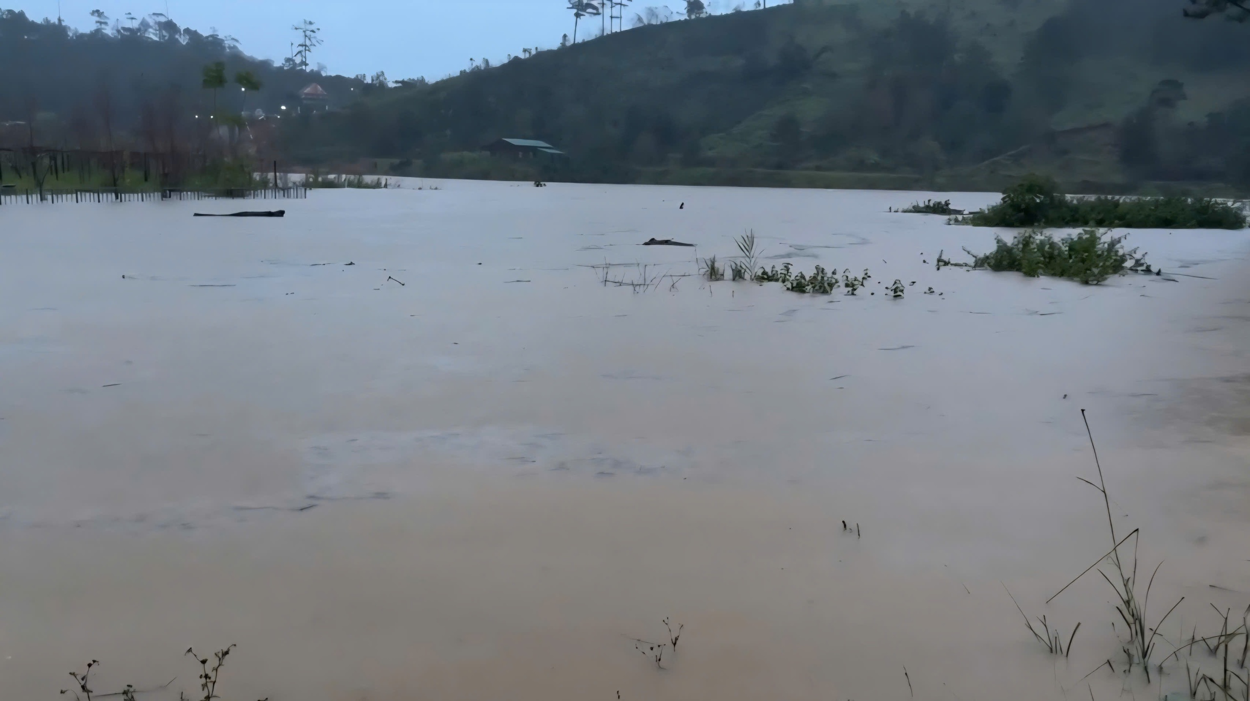 Chủ trang trại cá tầm bị lũ cuốn mất tích  - Ảnh 1.