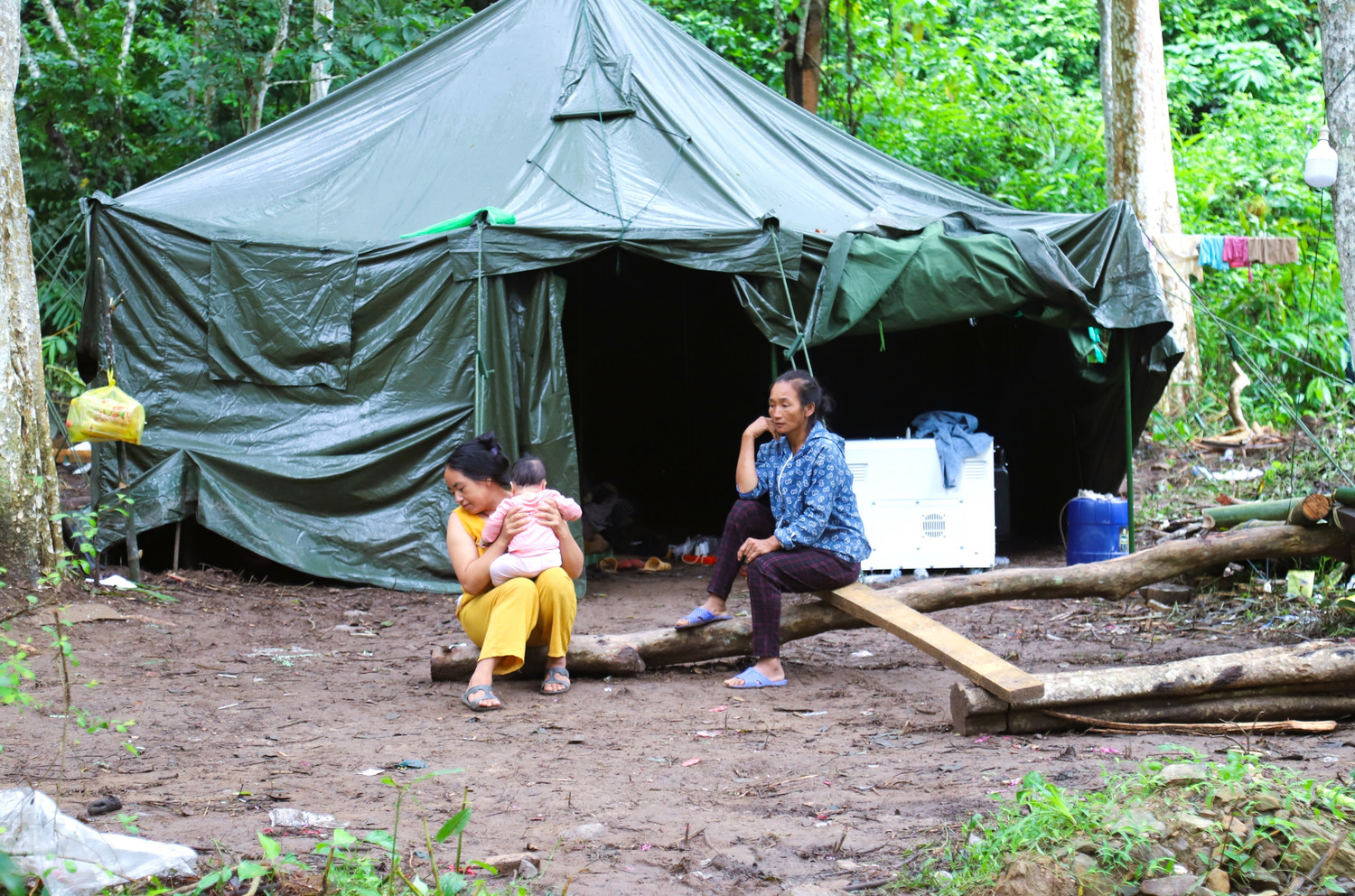 Trắng tay sau lũ lụt Nghệ An , người d&acirc;n khốn kh&oacute; giữa thi&ecirc;n tai - Ảnh 1.