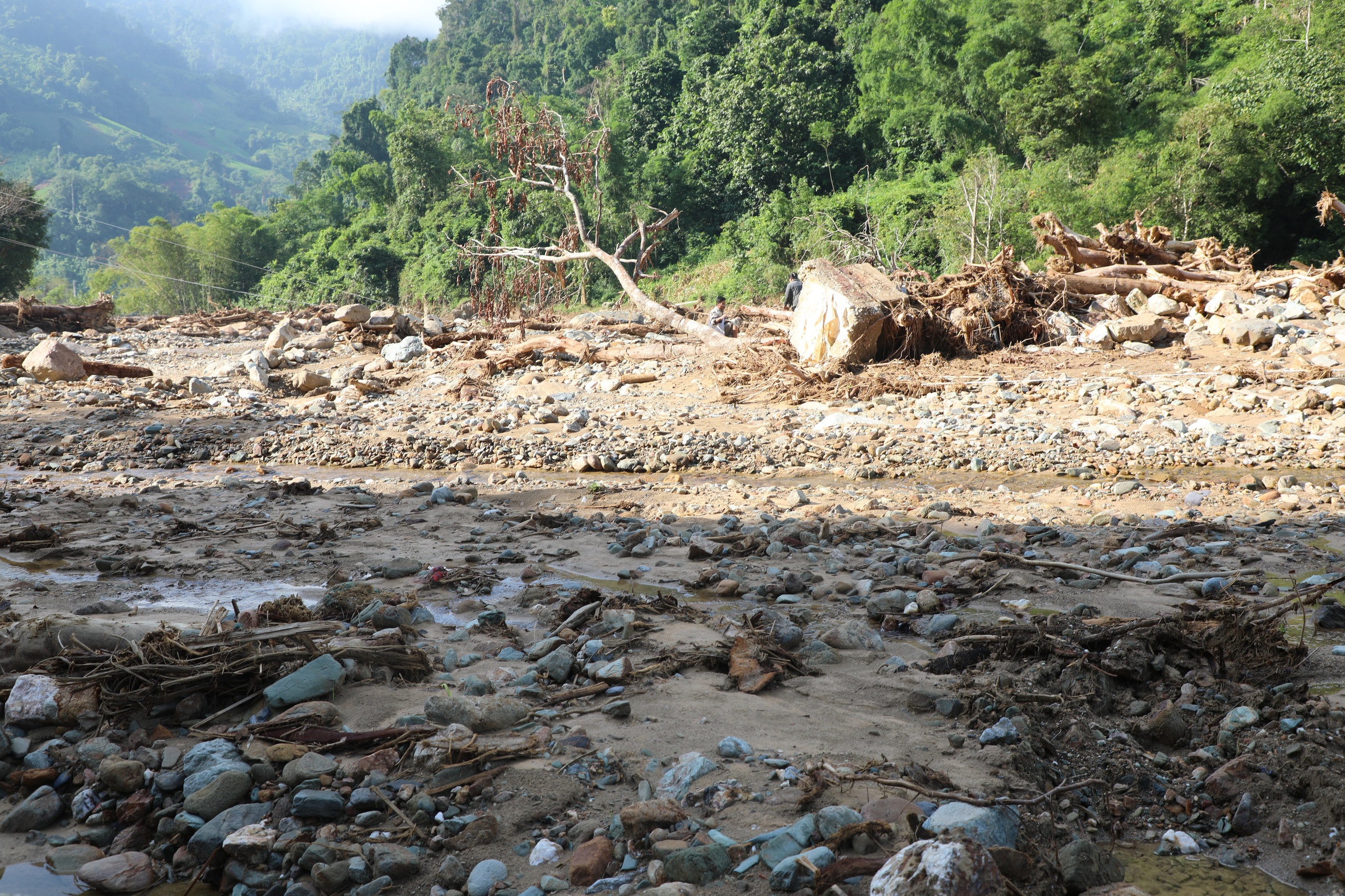 Trắng tay sau lũ lụt Nghệ An , người d&acirc;n khốn kh&oacute; giữa thi&ecirc;n tai - Ảnh 3.