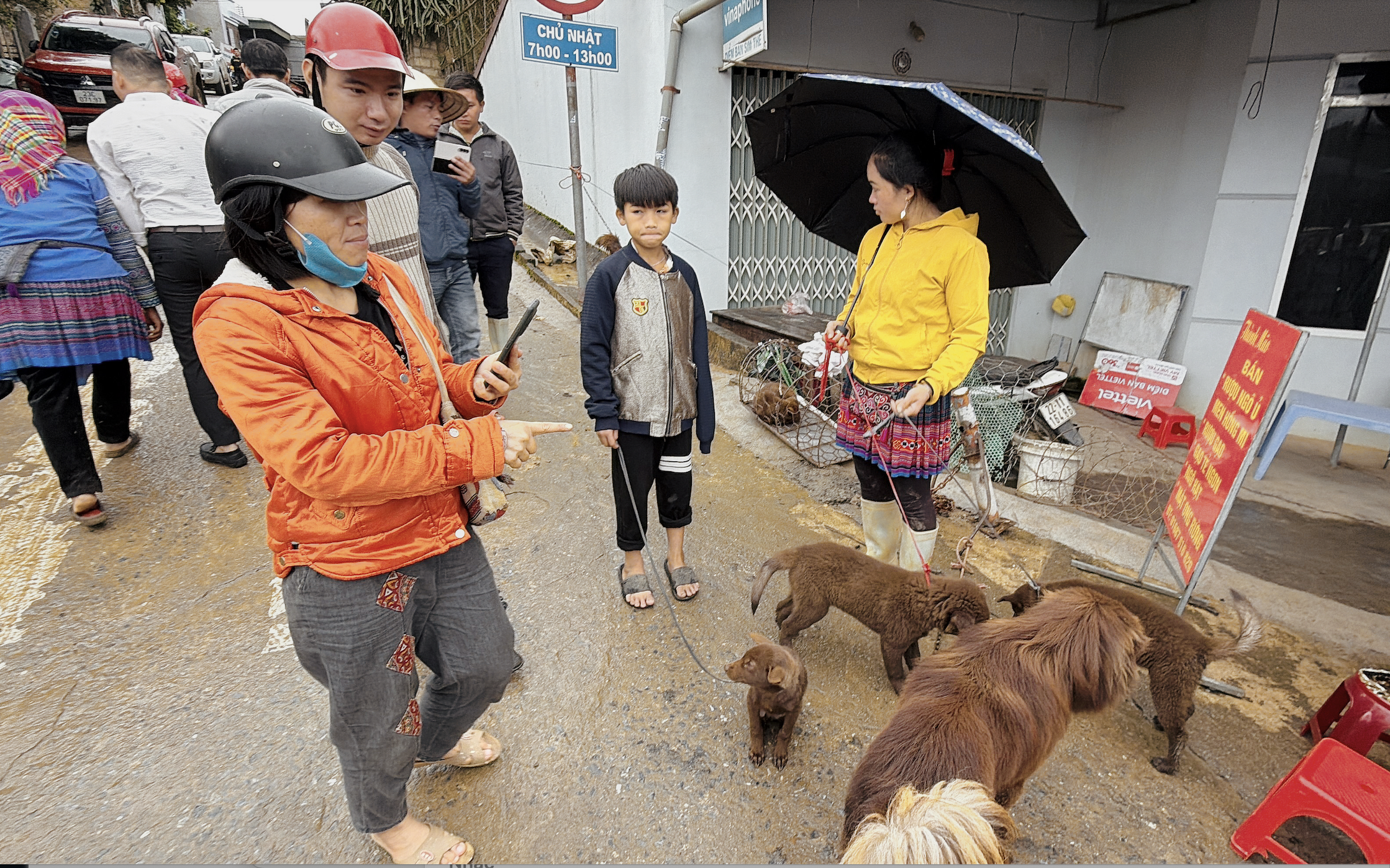 ផ្សារឆ្កែ Bac Ha អ៊ូអរពេលភ្លៀងធ្លាក់ - រូបថត ៥. Chợ chó Bắc Hà tấp nập trong mưa rét- Ảnh 5.
