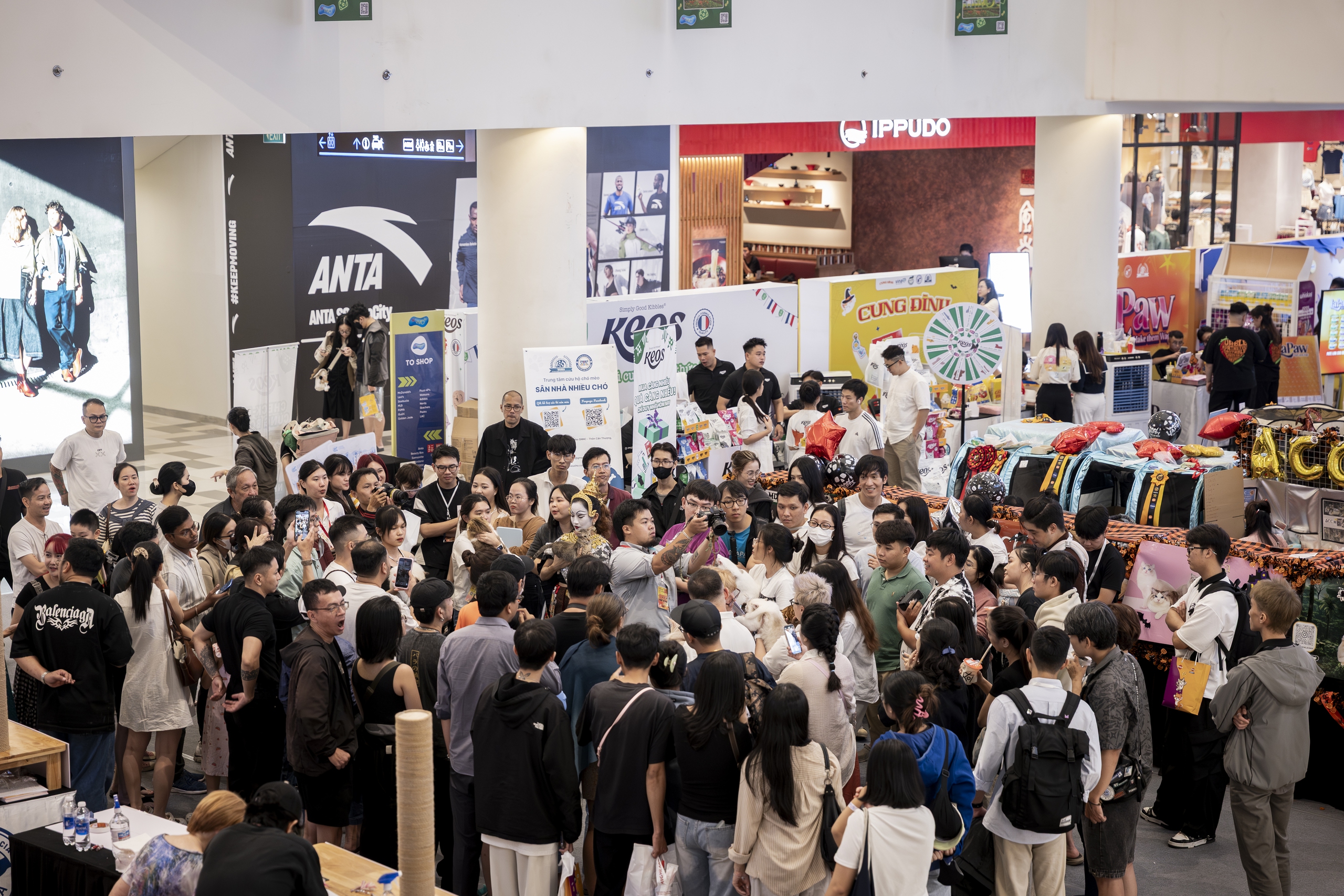 Độc lạ 'mèo xấu nhất thế giới' tham gia hoa hậu mèo đẹp - Ảnh 1.