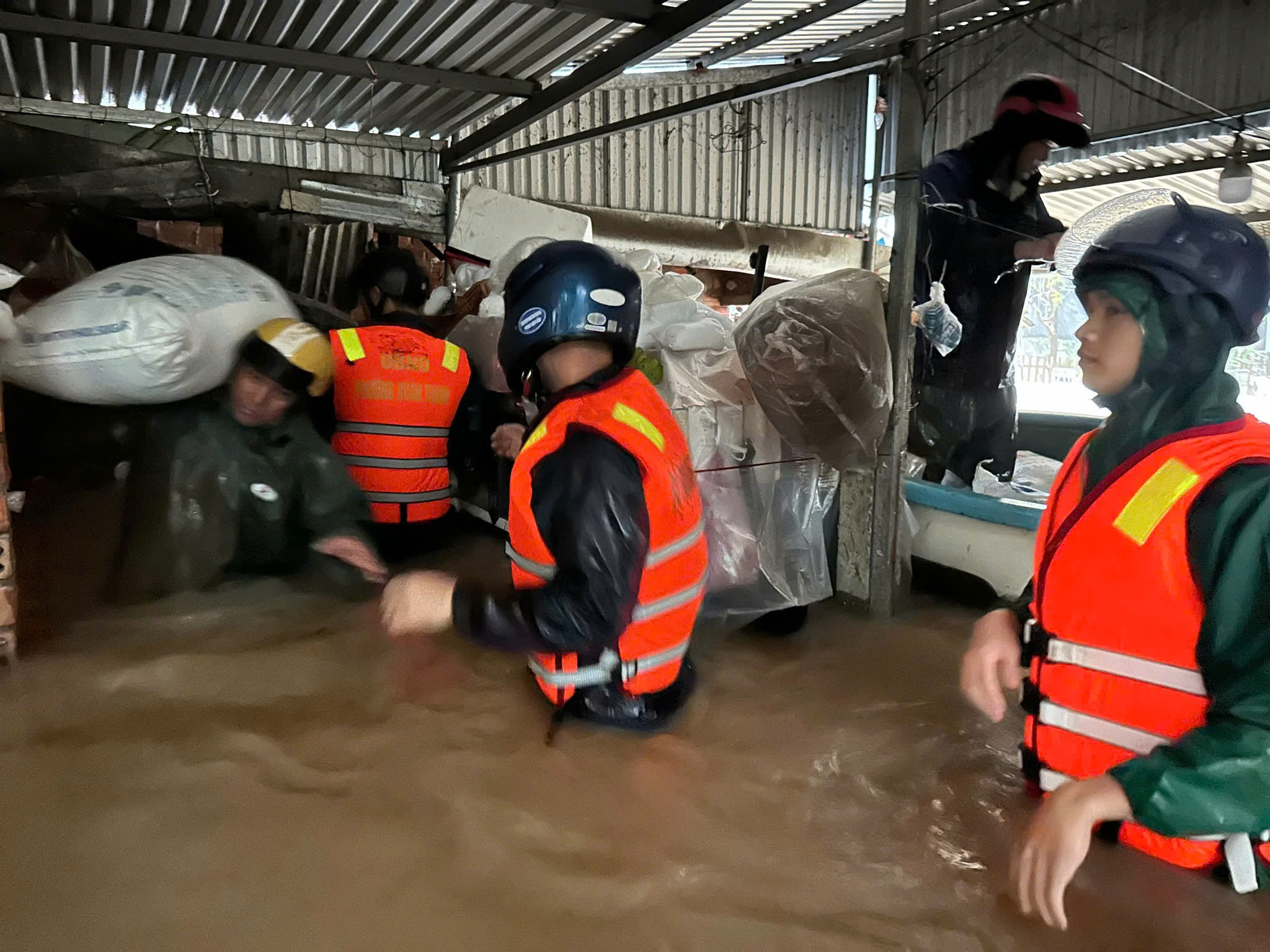 - Ảnh 3. - Ảnh 3.