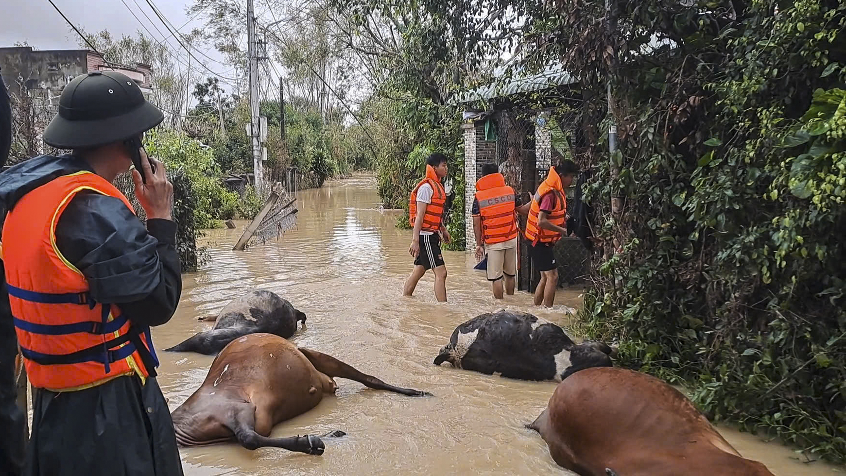 Gia Lai oằn mình vì lũ dữ: Bàng hoàng khi nhà trống hoắc, đàn bò theo nước cuốn đi - Ảnh 2.