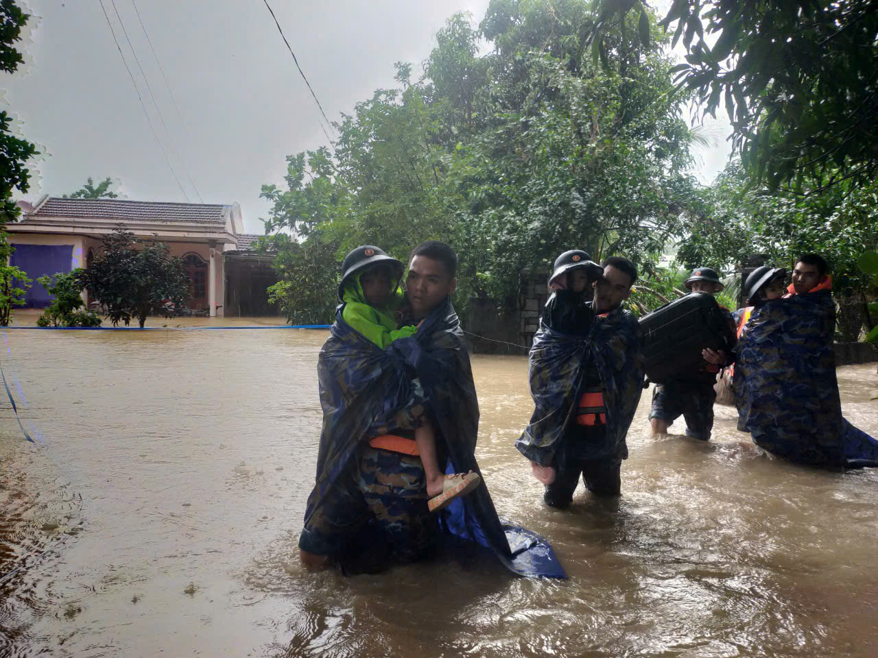 - Ảnh 5. - Ảnh 5.