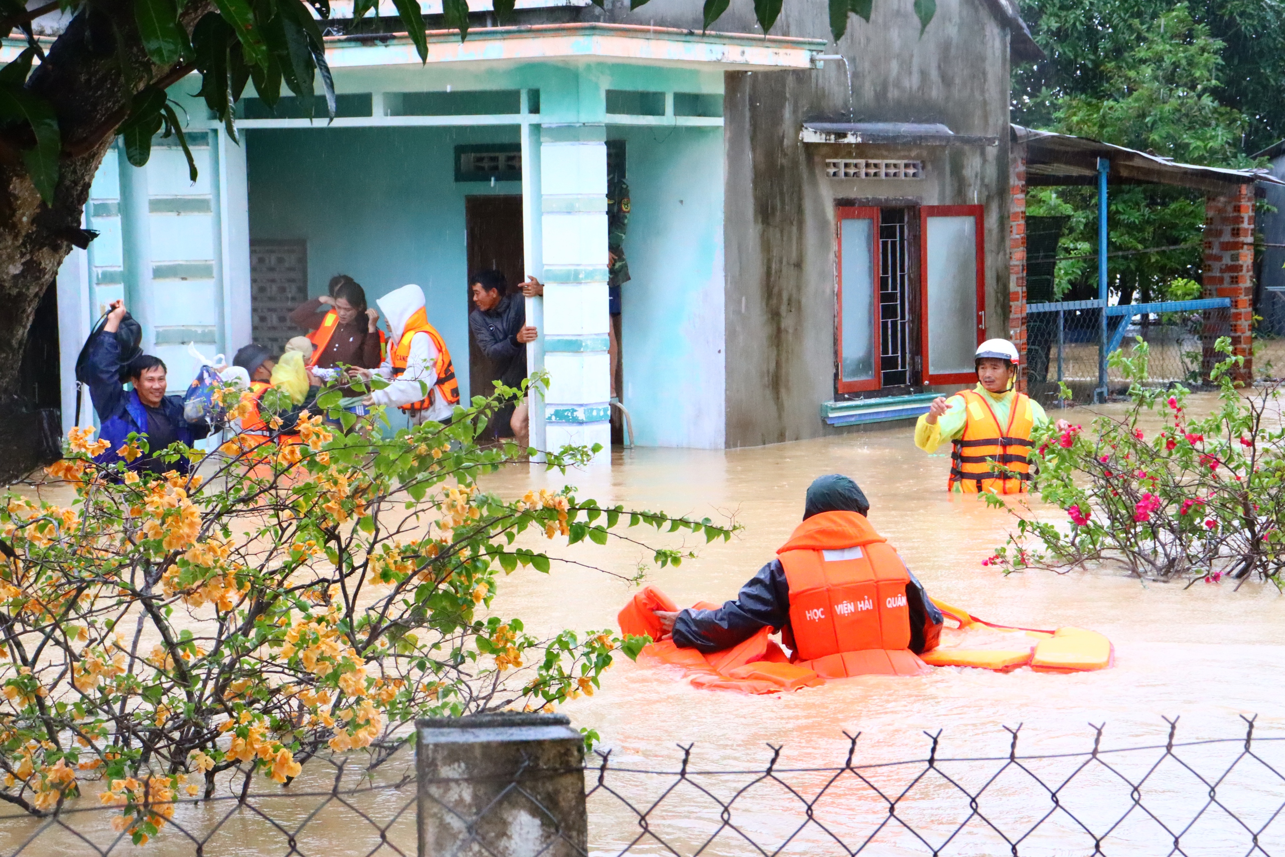 - Ảnh 1. - Ảnh 1.