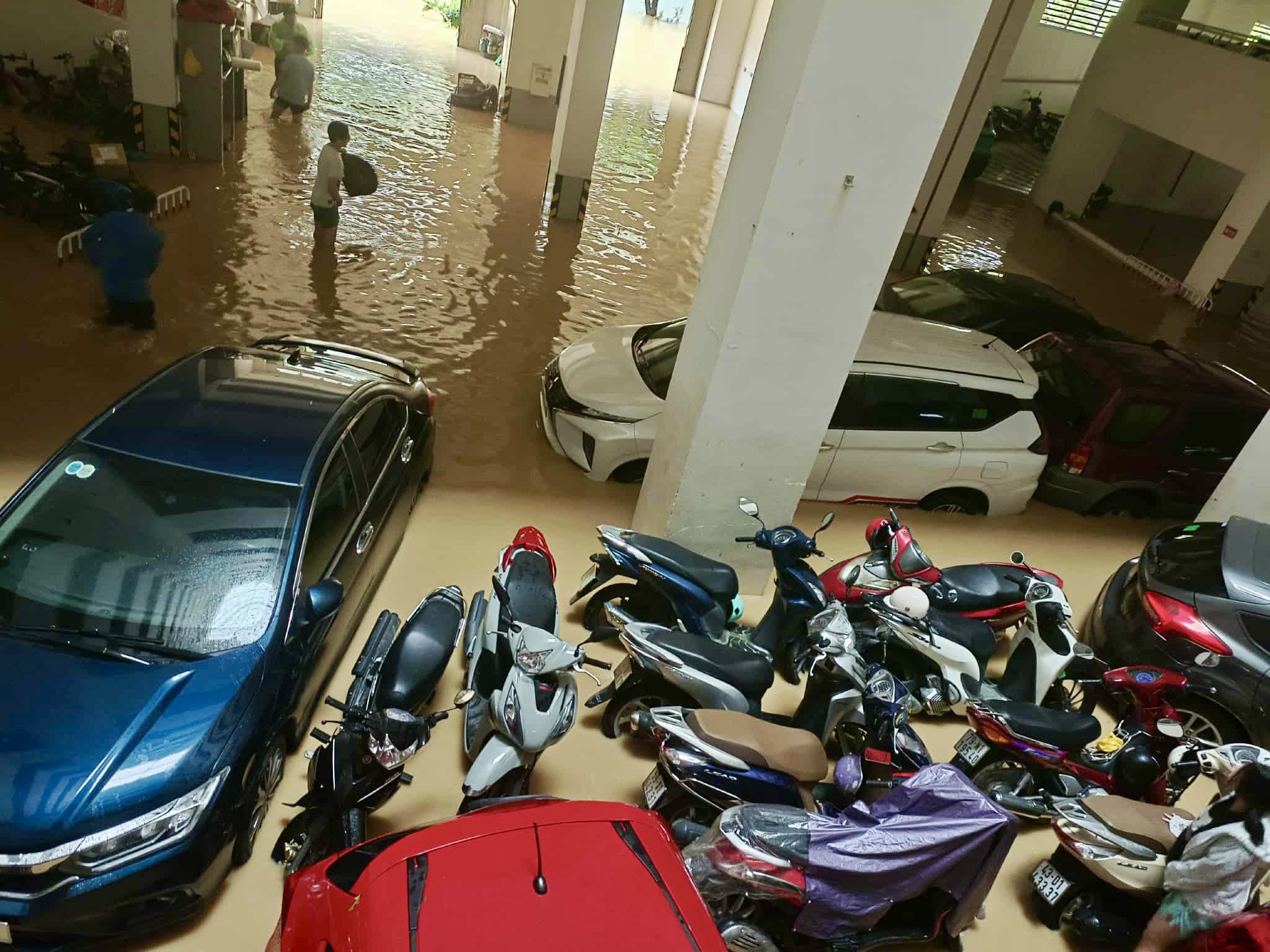 Khánh Hòa: Nhìn từ tầng cao, bất lực cảnh hàng loạt ô tô bị nhấn chìm chỉ sau một đêm - Ảnh 3. Khánh Hòa: Nhìn từ tầng cao, bất lực cảnh hàng loạt ô tô bị nhấn chìm chỉ sau một đêm - Ảnh 3.