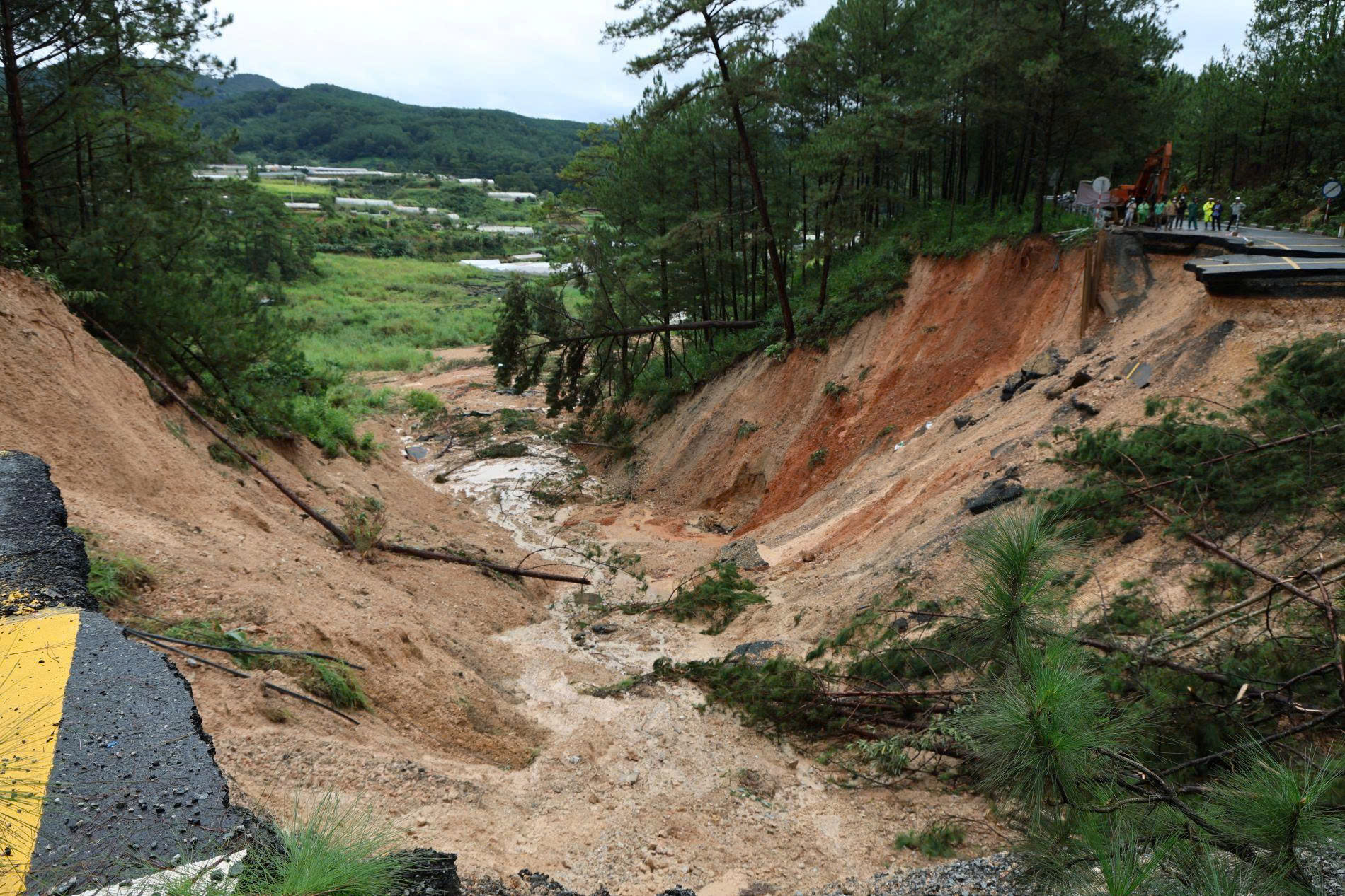 Công bố tình huống khẩn cấp về thiên tai sạt lở đèo Mimosa - Ảnh 6.