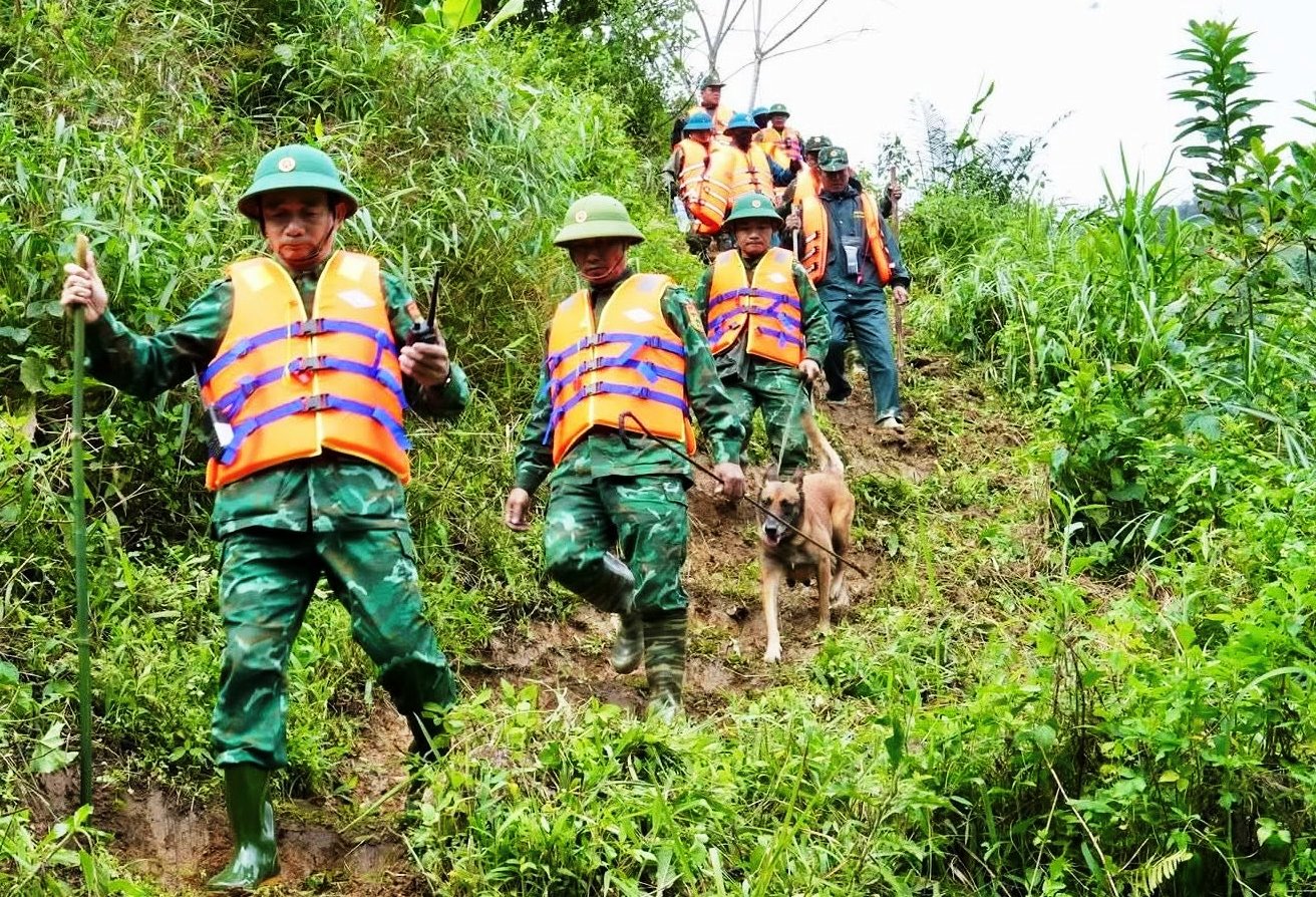 Cận cảnh chó nghiệp vụ Làng Nủ lên núi Đà Nẵng tìm 2 người mất tích- Ảnh 11.