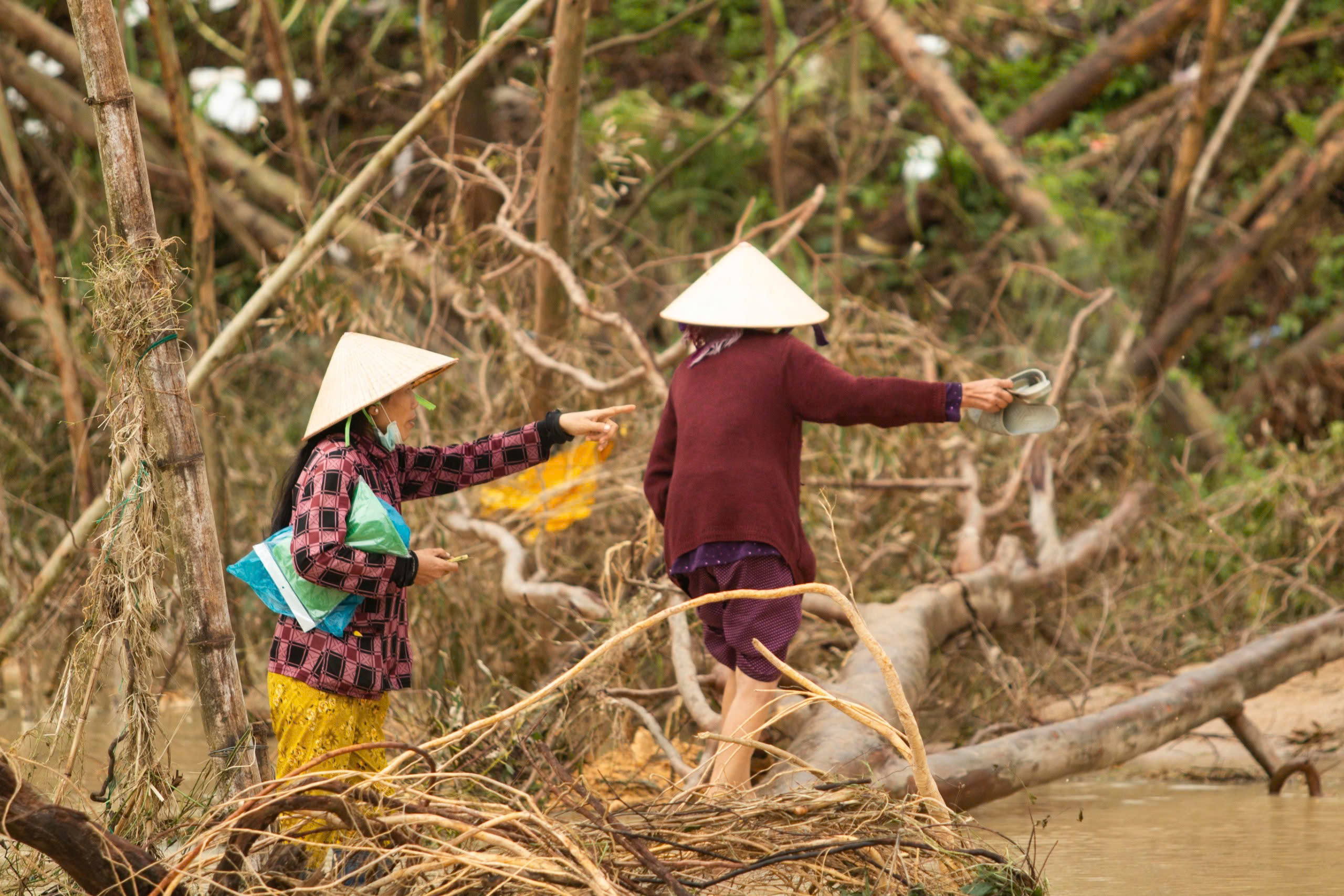 Người dân Luật Lễ nghẹn ngào: 'Tội nghiệp đàn bò… chúng bị cuốn đi hết'- Ảnh 4.