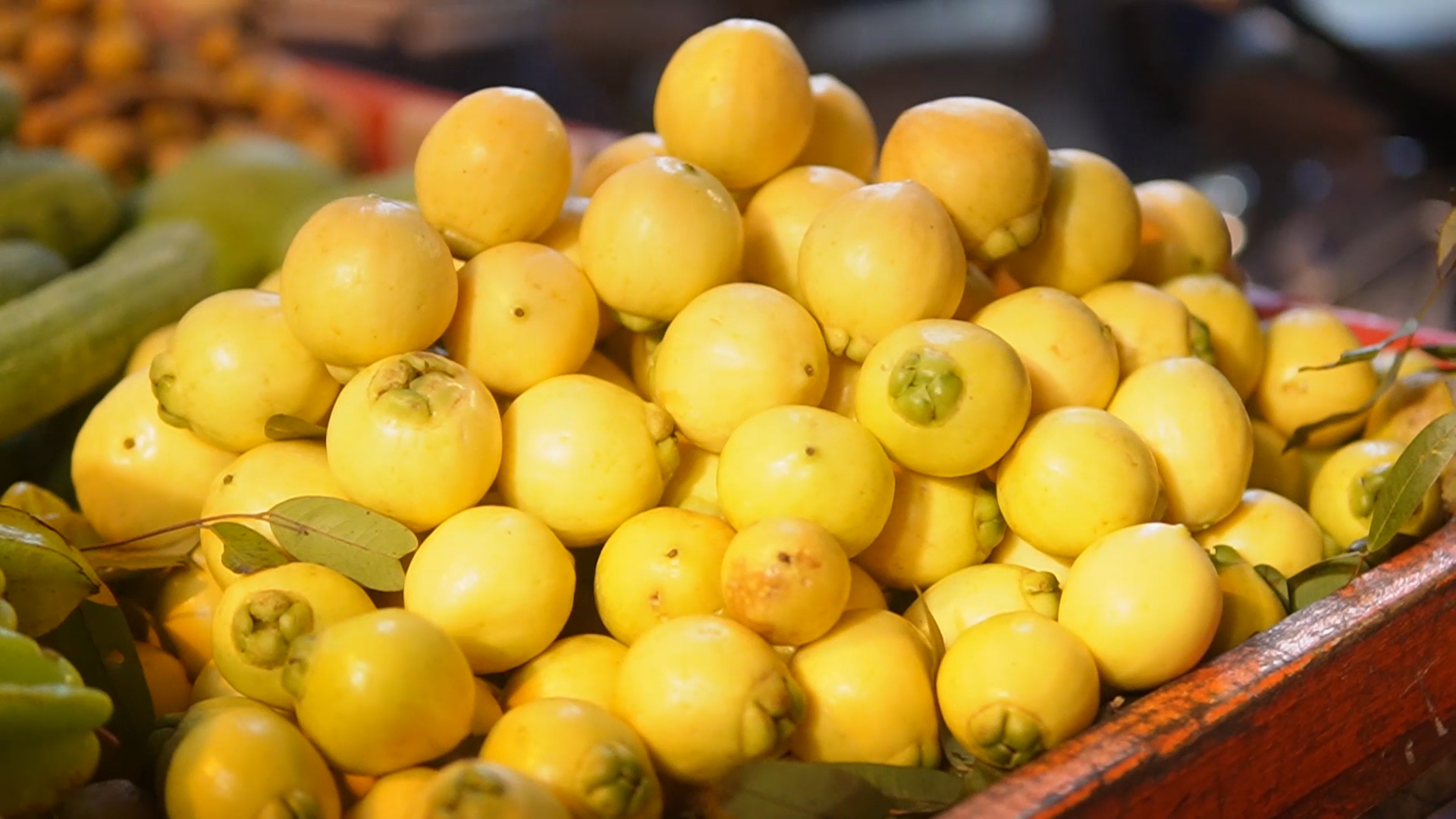 Du kh&aacute;ch Việt đi chợ đ&ecirc;m ở Bangalore gặp chủ shop si&ecirc;u dễ mến | Xin ch&agrave;o Ấn Độ - P6 - Ảnh 3.