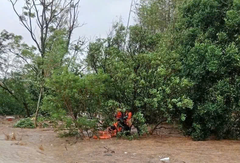 Công an giải cứu người dân Phú Yên cũ mắc kẹt trên cây, mái nhà- Ảnh 2.