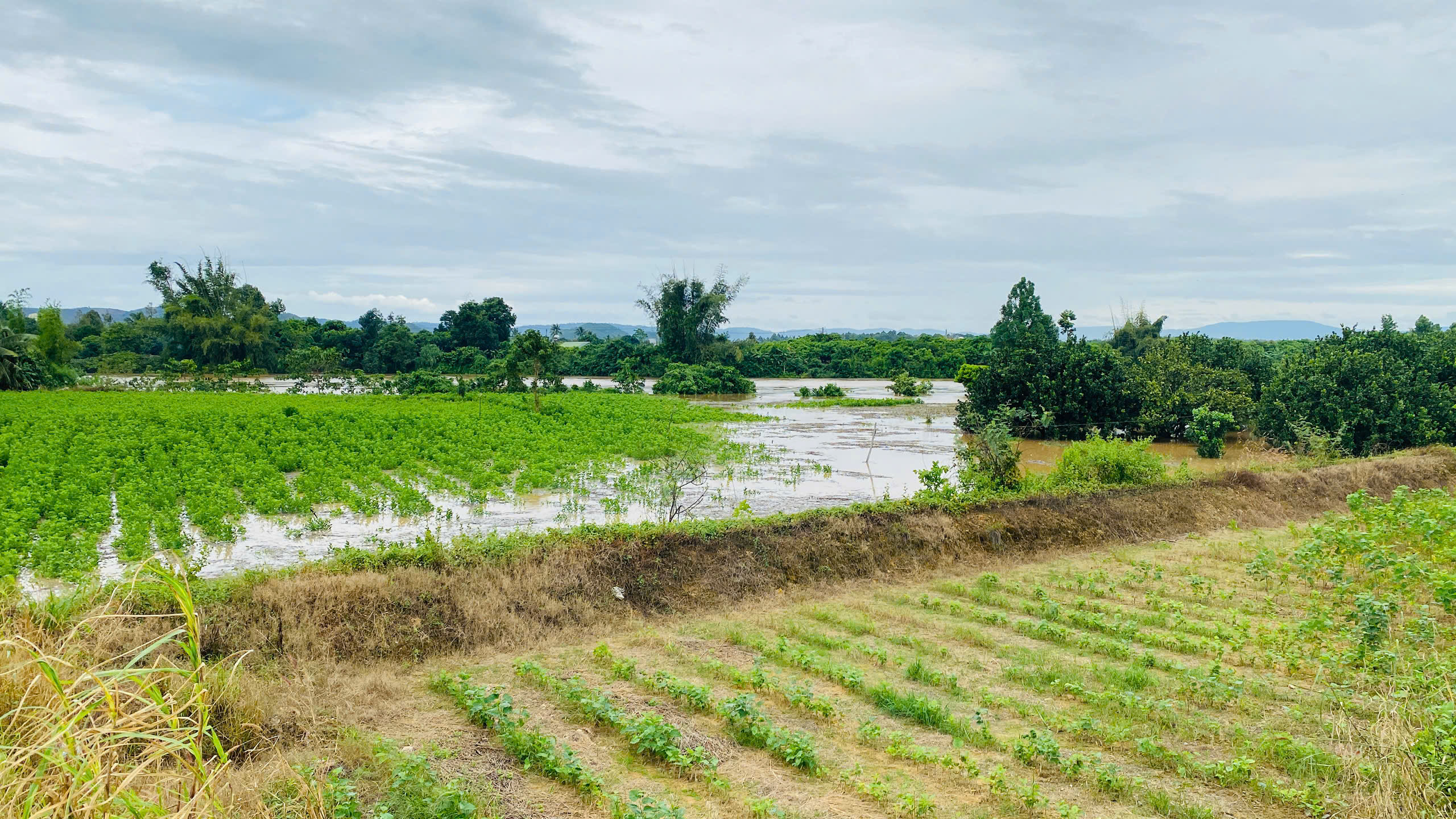 Đồng Nai: Thủy điện xả tràn không báo trước gây ngập lụt, thiệt hại 40 tỉ đồng- Ảnh 1.