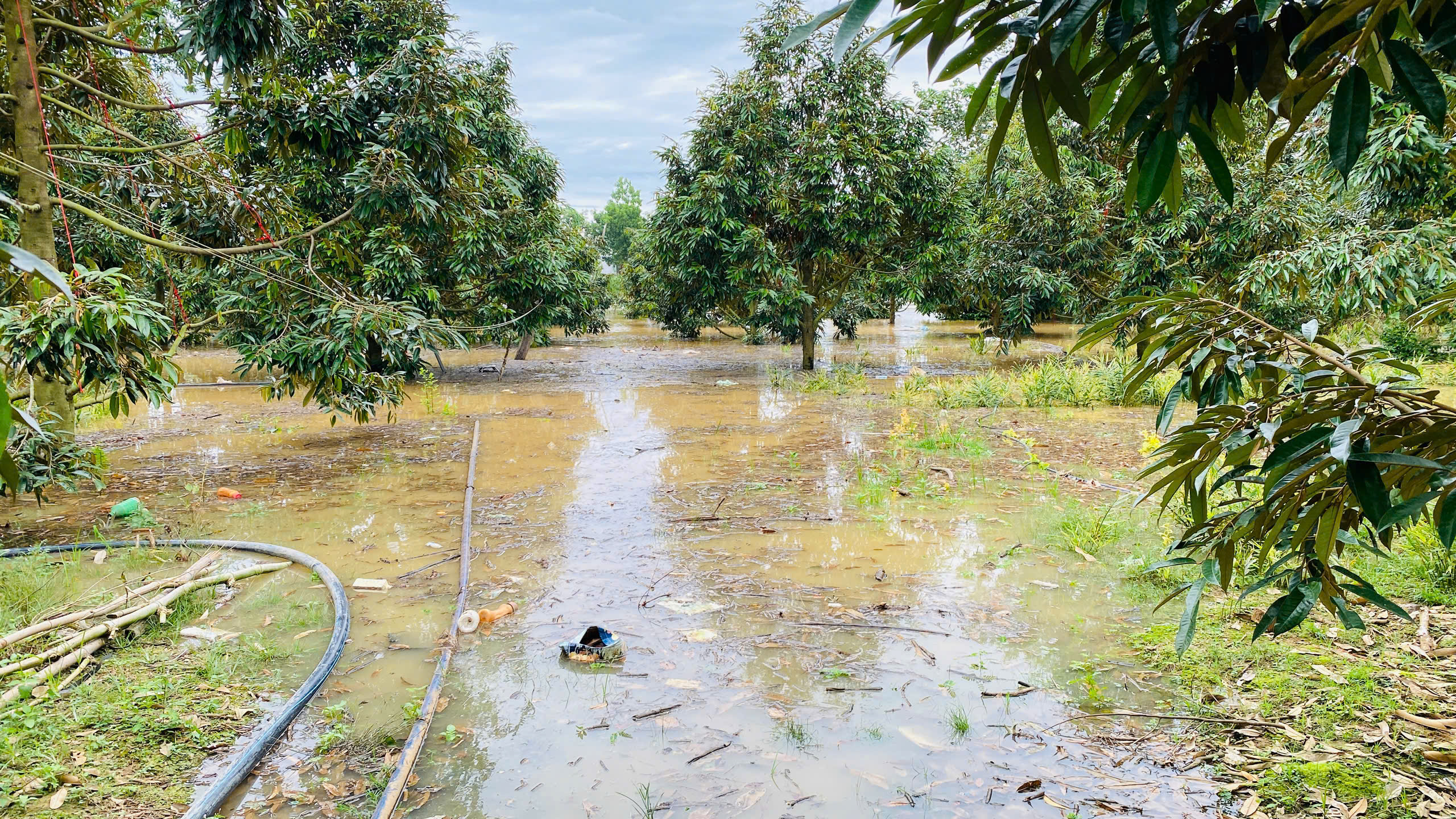 Thủy điện Đồng Nai 5 xả tràn, hàng trăm hộ dân hạ nguồn bị ngập lụt - Ảnh 2.