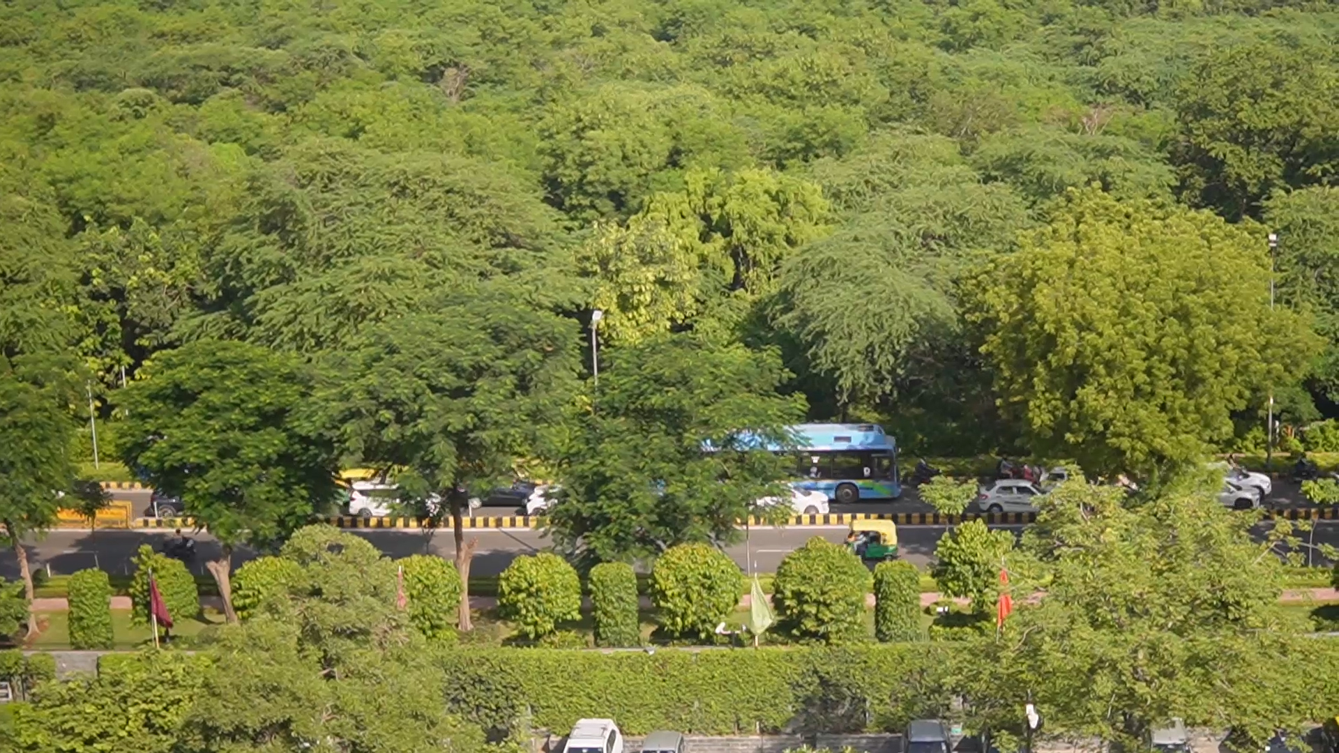 Cái nhìn khác về Delhi - nơi rừng cây trong lòng thành phố | Xin chào Ấn Độ - P1 - Ảnh 3. Cái nhìn khác về Delhi - nơi rừng cây trong lòng thành phố | Xin chào Ấn Độ - P1 - Ảnh 3.