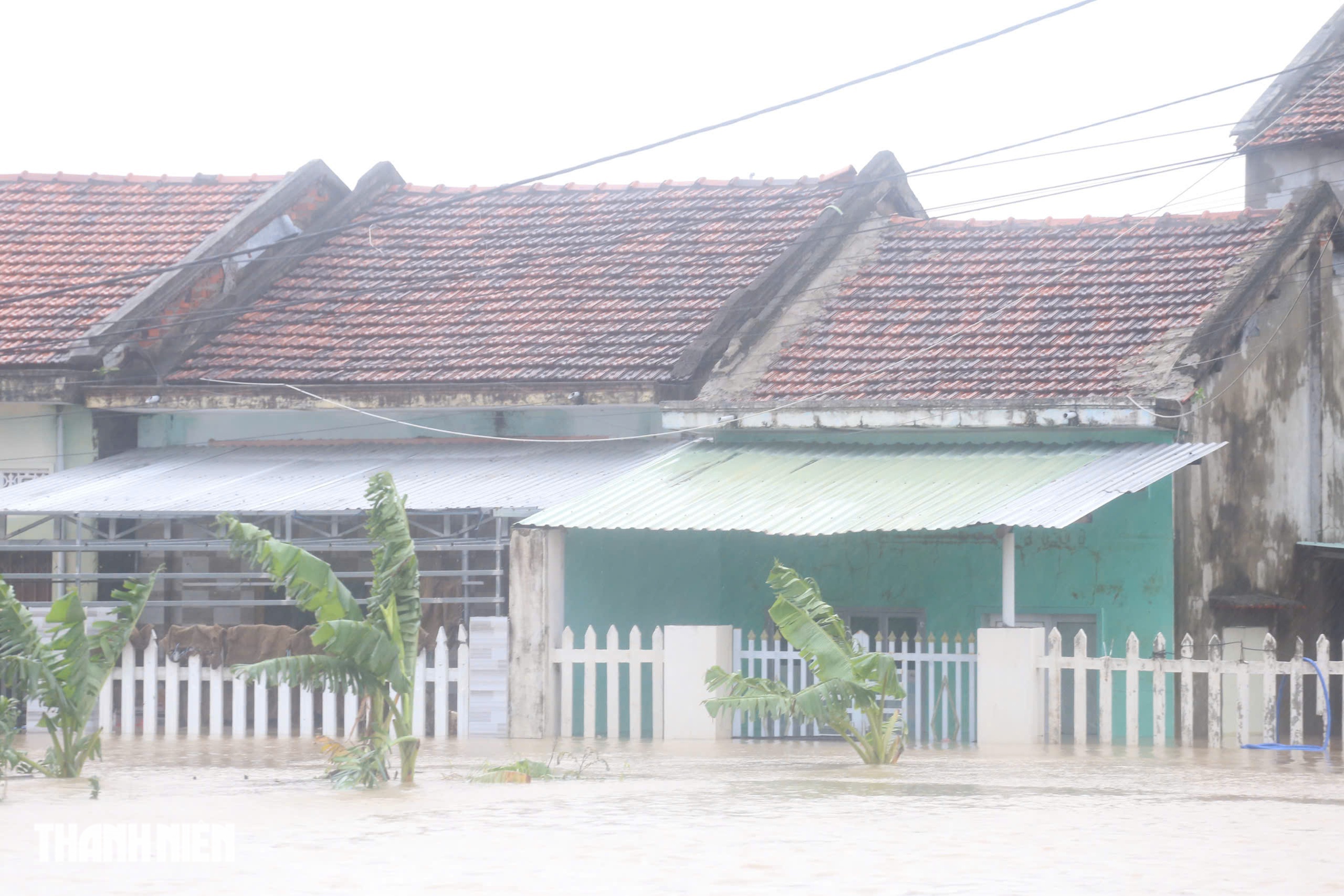 Chới với giữa ngập lụt ở Phú Yên cũ, 'lũ cuốn đi hết rồi con ơi'- Ảnh 10.