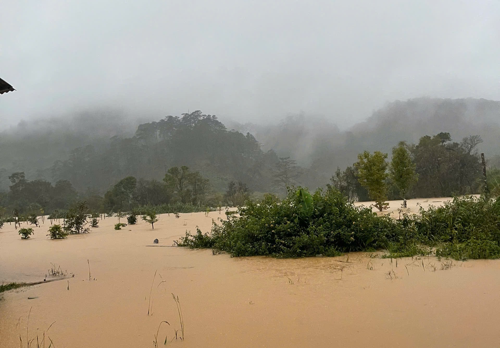 Một xã có 4 người tử vong do mưa lũ kinh hoàng ở Lâm Đồng - Ảnh 5.