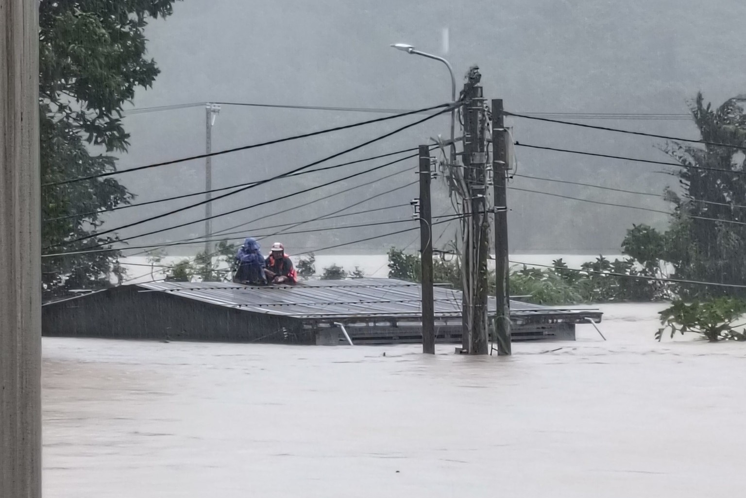 Người dân Phú Yên cũ xin giúp đỡ đồ ăn vì 'nhiều người đói, rét'- Ảnh 1.