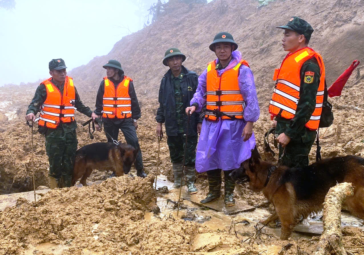 Cận cảnh chó nghiệp vụ Làng Nủ lên núi Đà Nẵng tìm 2 người mất tích- Ảnh 8.