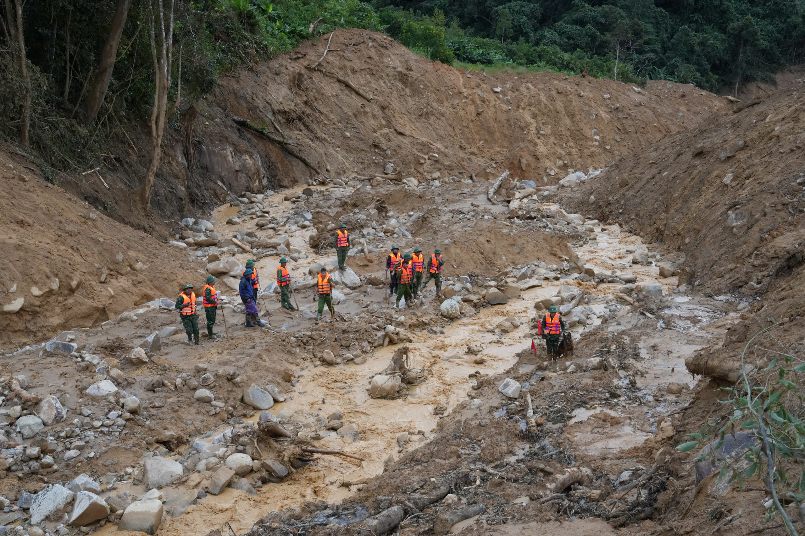 Cận cảnh chó nghiệp vụ Làng Nủ lên núi Đà Nẵng tìm 2 người mất tích- Ảnh 13.