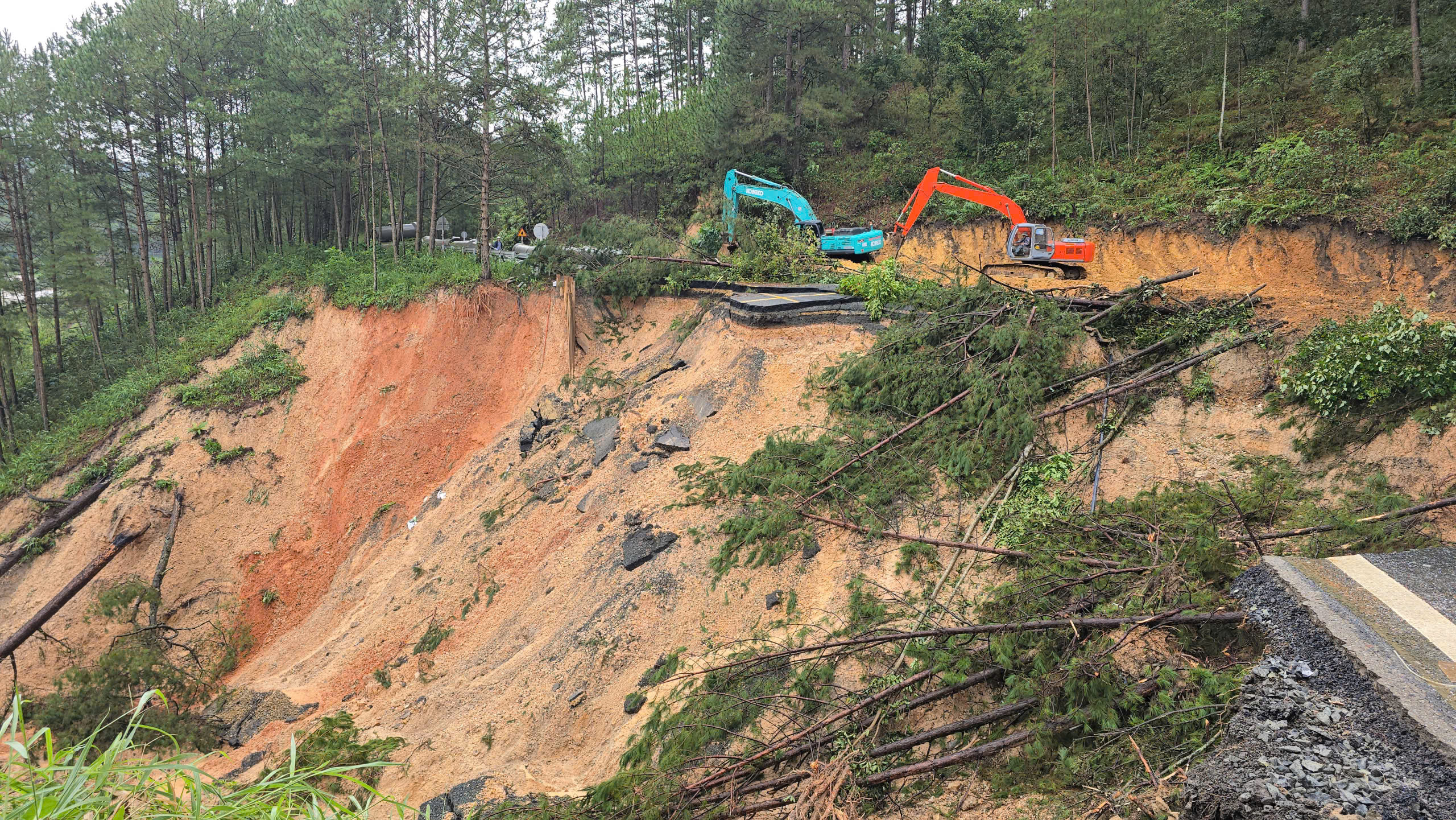 Phó thủ tướng Hồ Quốc Dũng: Trong 10 ngày phải thông đèo Mimosa sạt lở - Ảnh 2.