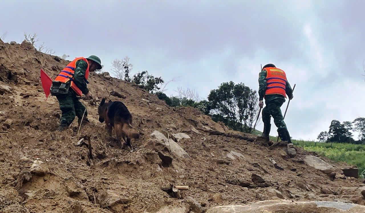 Cận cảnh chó nghiệp vụ Làng Nủ lên núi Đà Nẵng tìm 2 người mất tích- Ảnh 10.