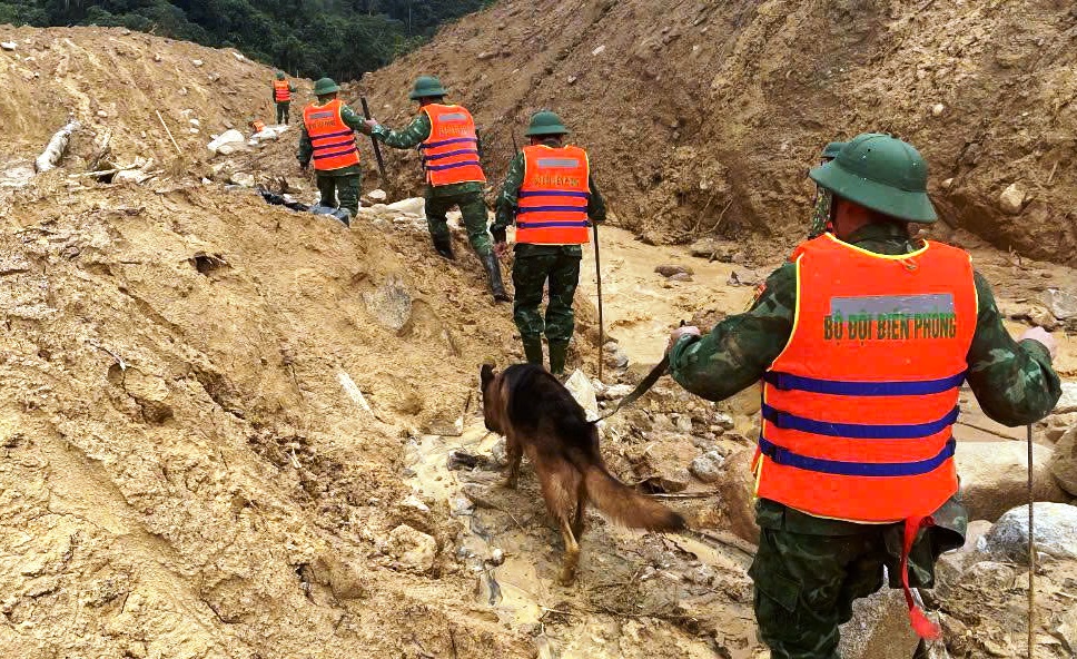 Cận cảnh chó nghiệp vụ Làng Nủ lên núi Đà Nẵng tìm 2 người mất tích- Ảnh 4.