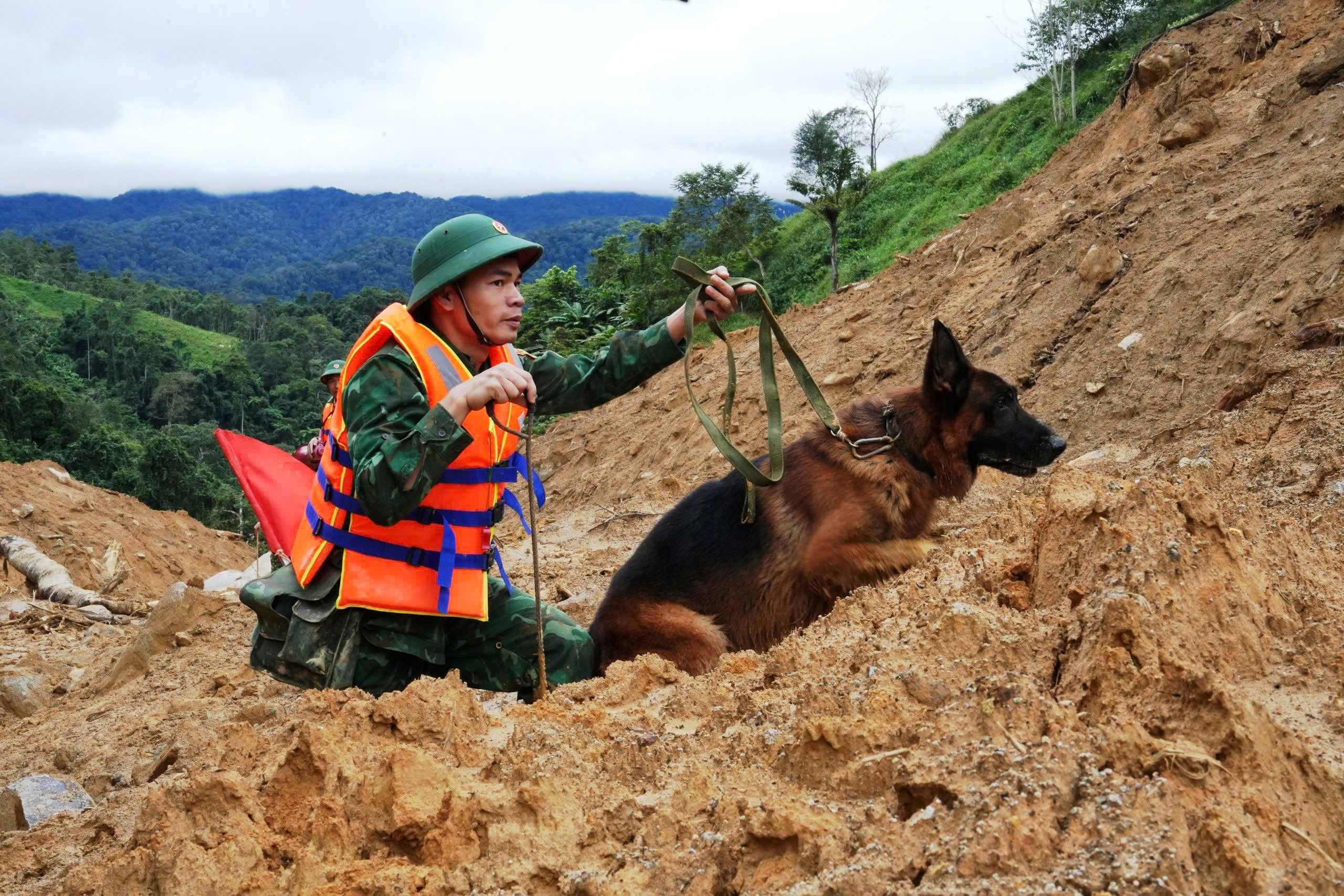 Cận cảnh chó nghiệp vụ Làng Nủ lên núi Đà Nẵng tìm 2 người mất tích- Ảnh 1.
