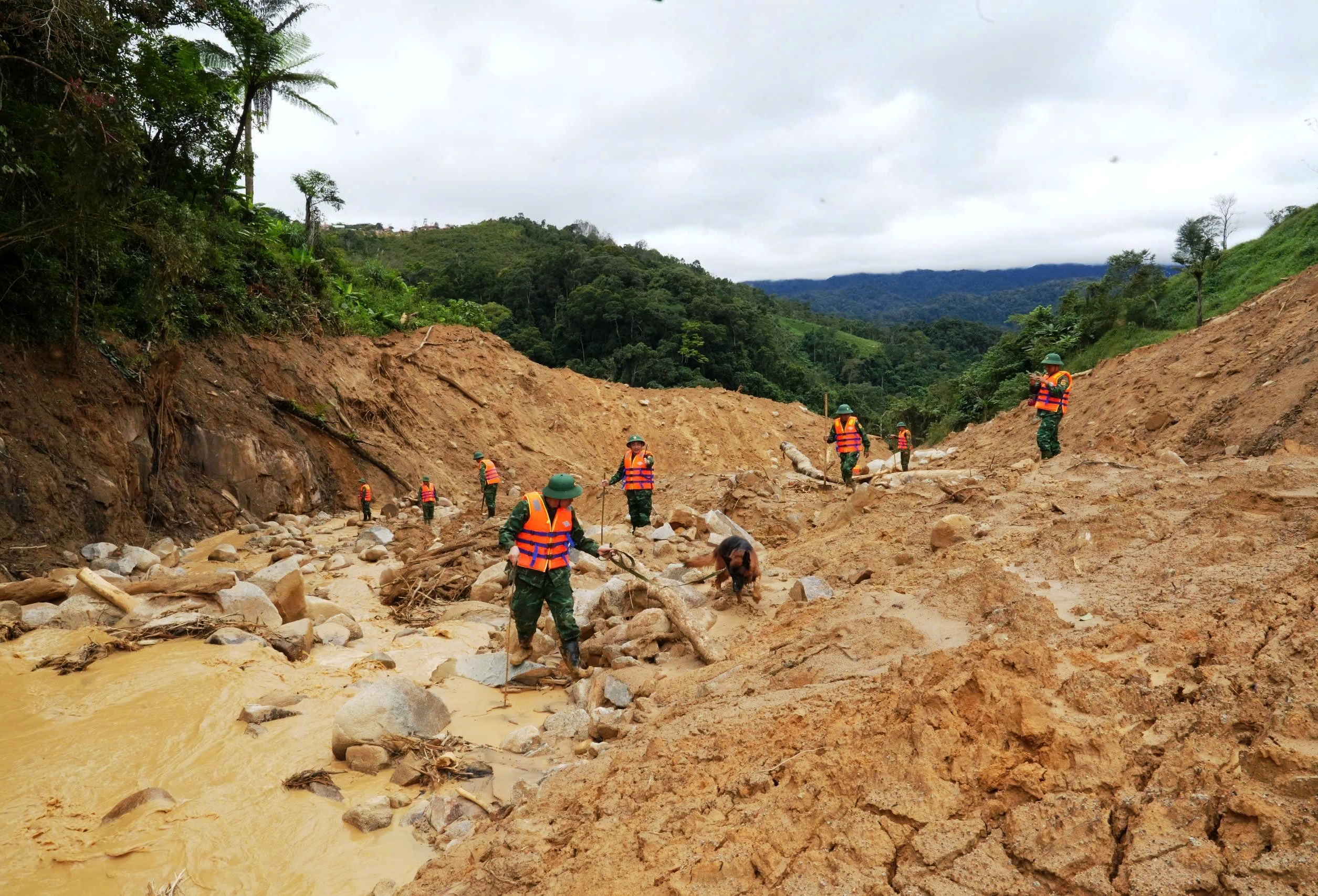 Cận cảnh chó nghiệp vụ Làng Nủ lên núi Đà Nẵng tìm 2 người mất tích- Ảnh 2.