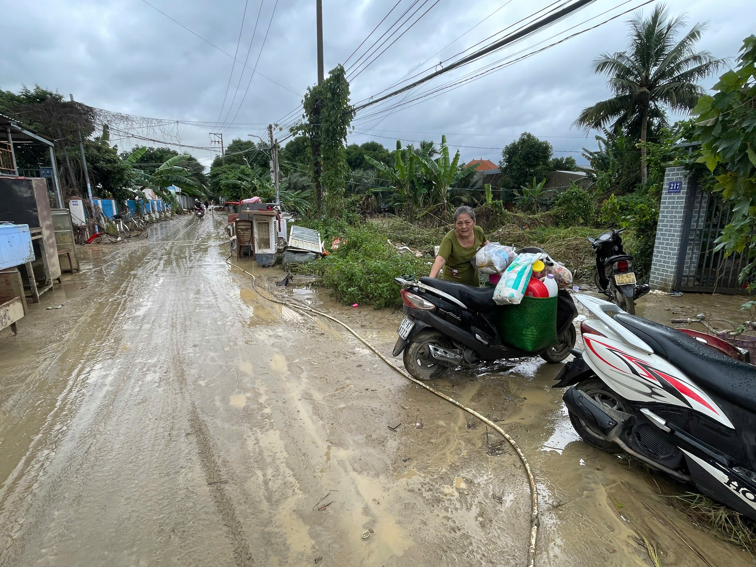 - Ảnh 5. - Ảnh 5.