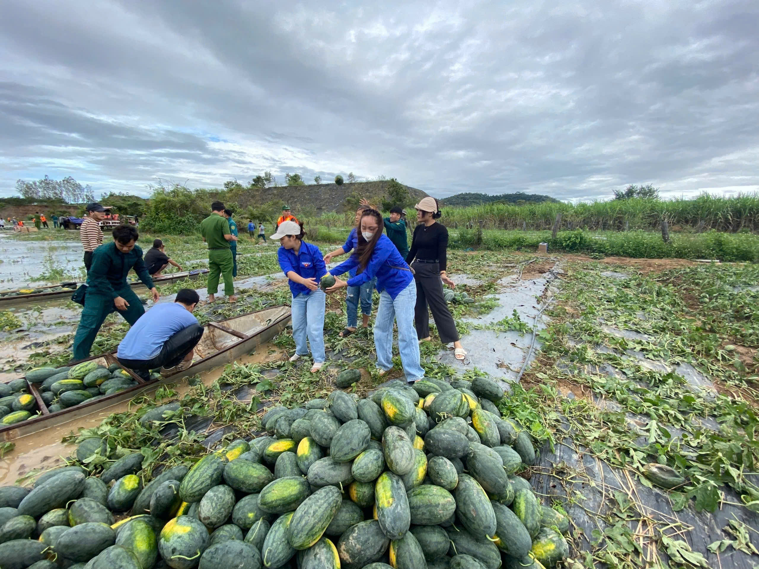 - Ảnh 10. - Ảnh 10.