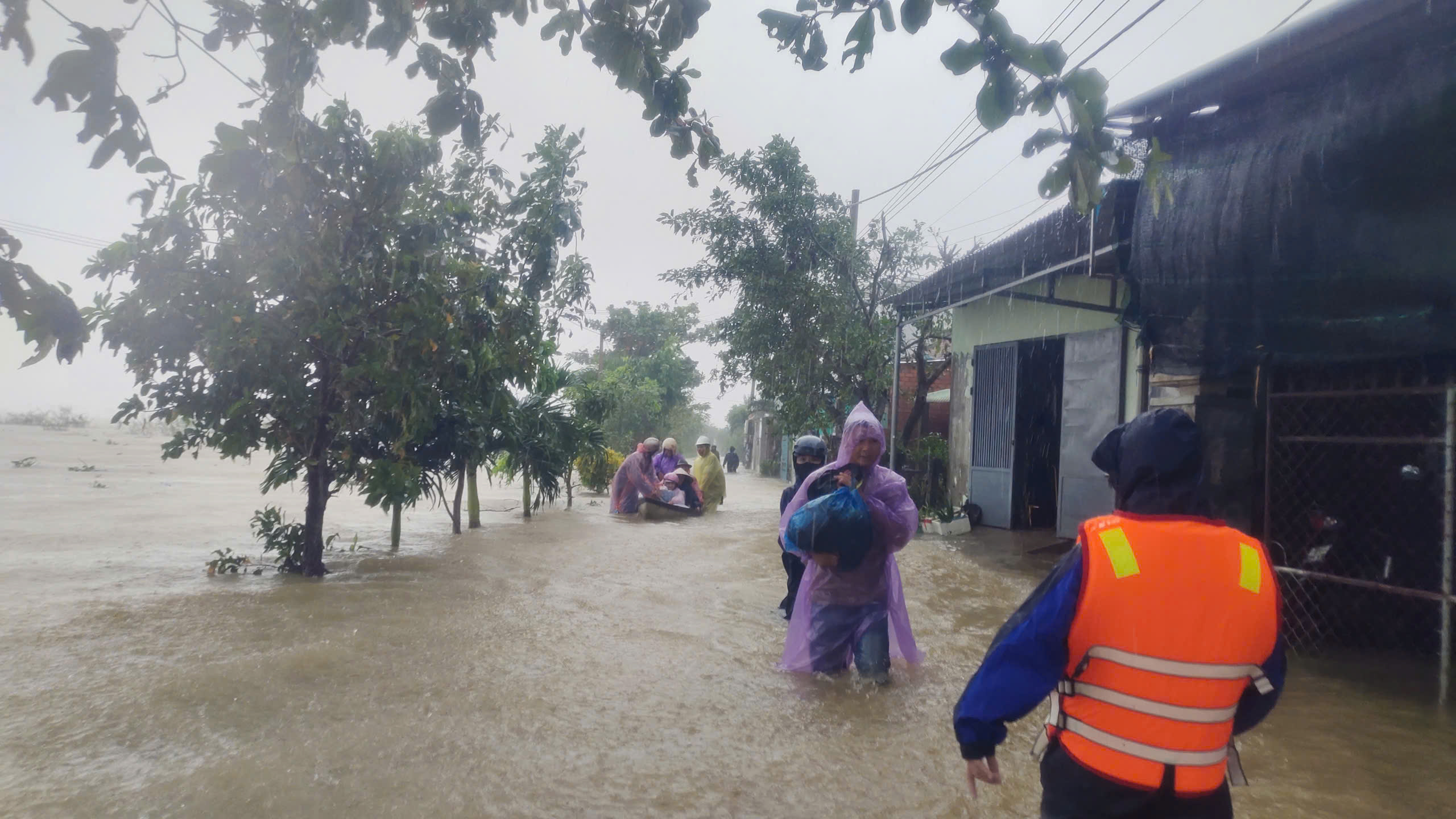 - Ảnh 9. - Ảnh 9.