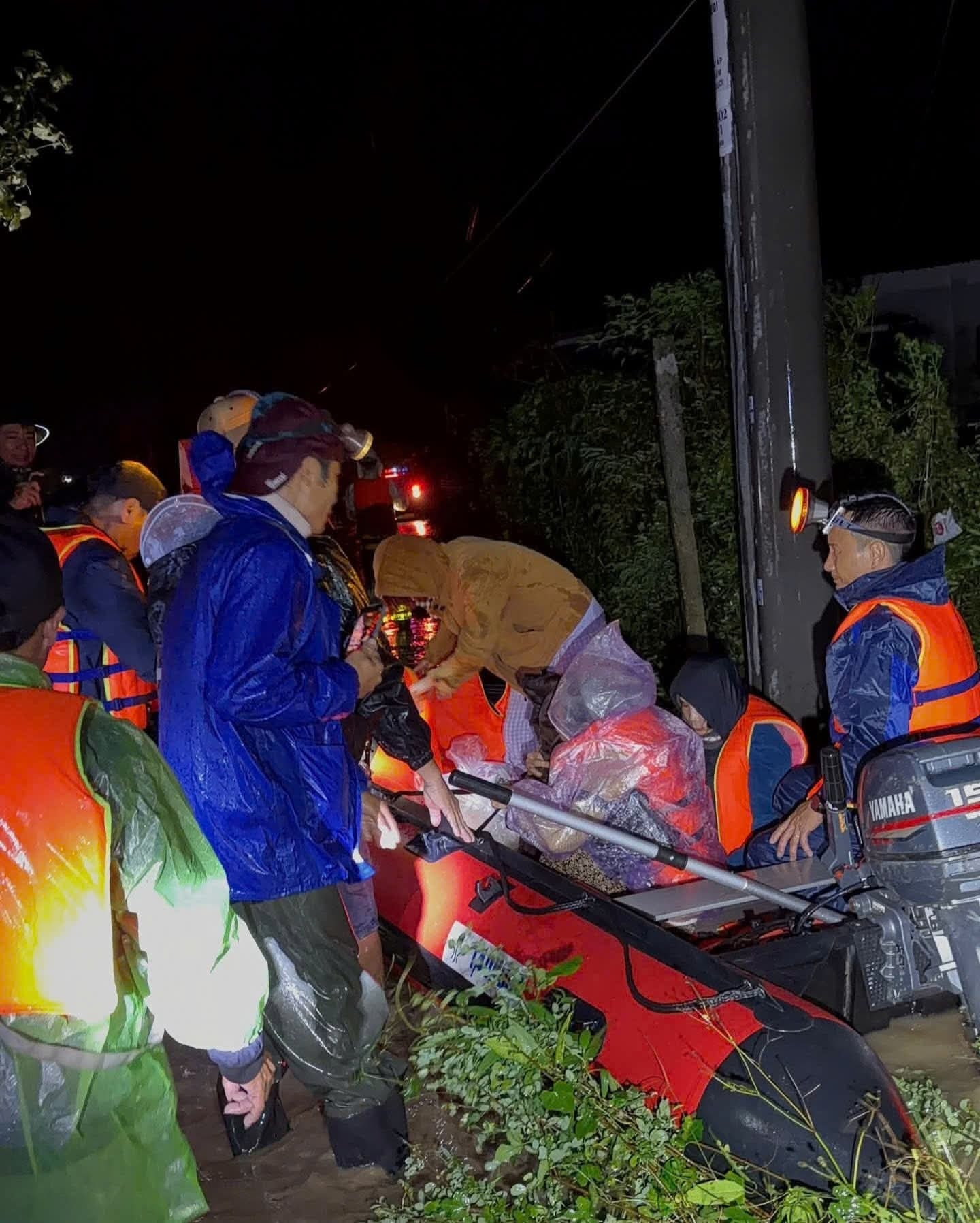 - Ảnh 2. - Ảnh 2.