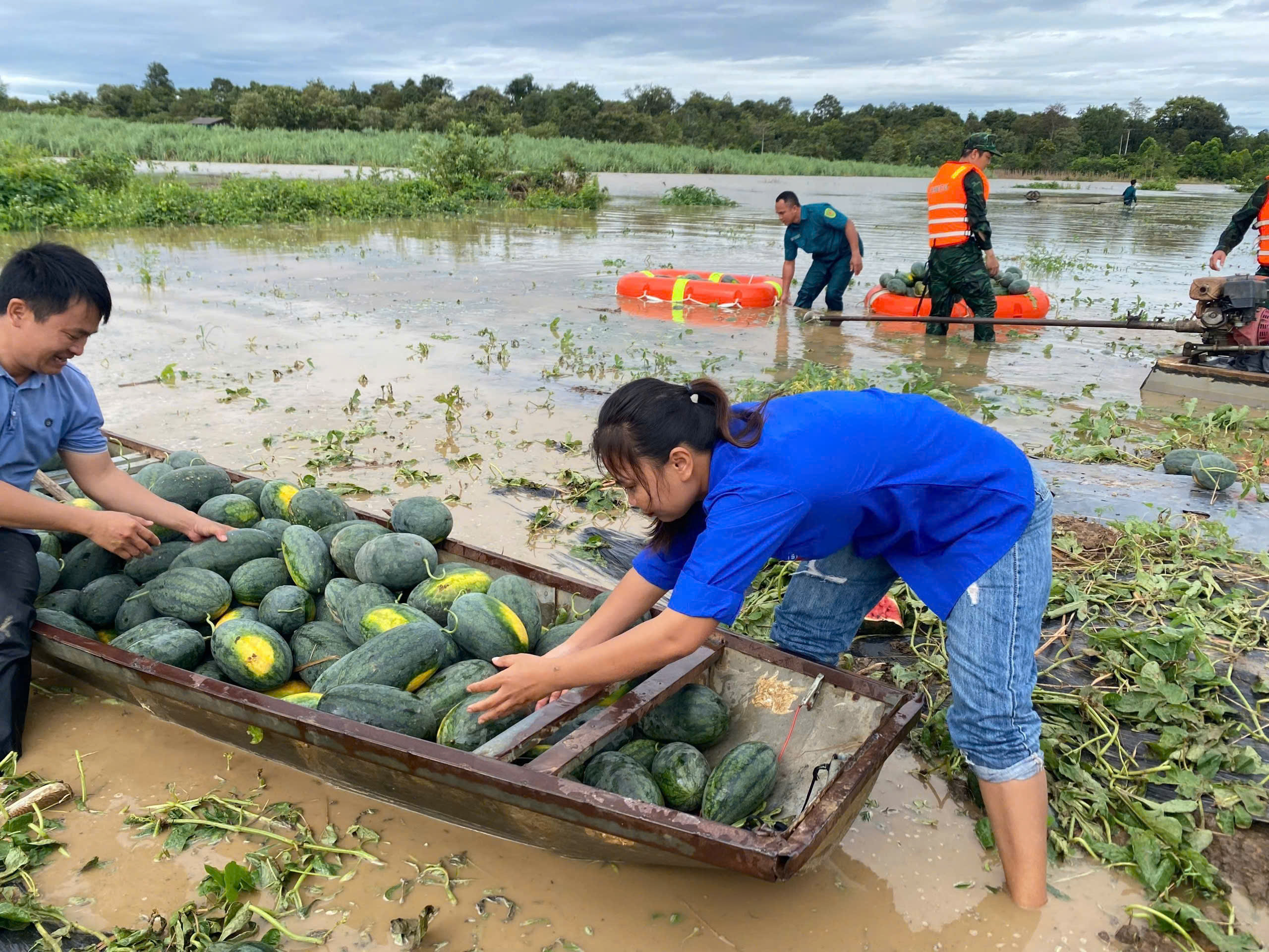 - Ảnh 11. - Ảnh 11.