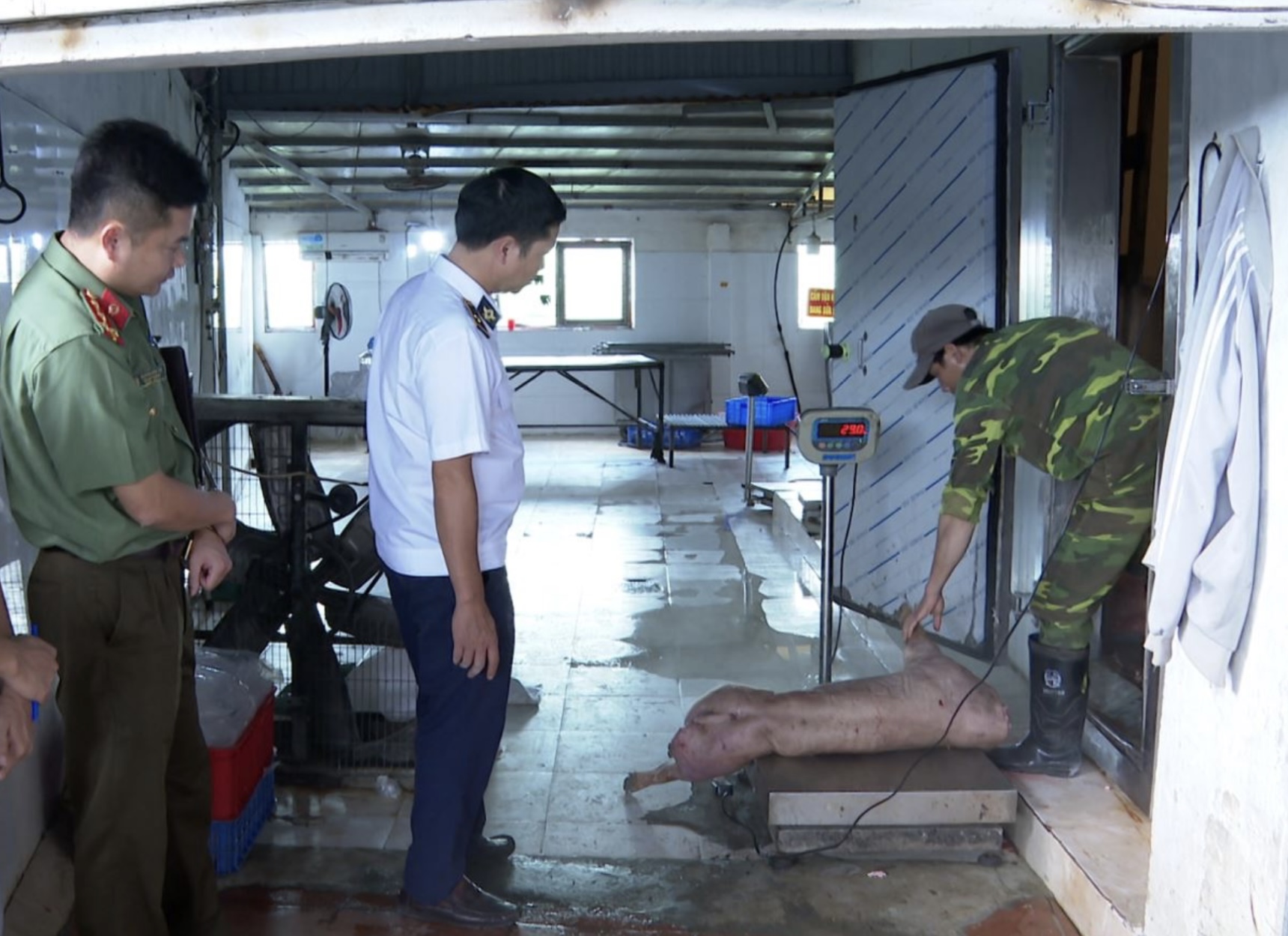 - Ảnh 2. - Ảnh 2.