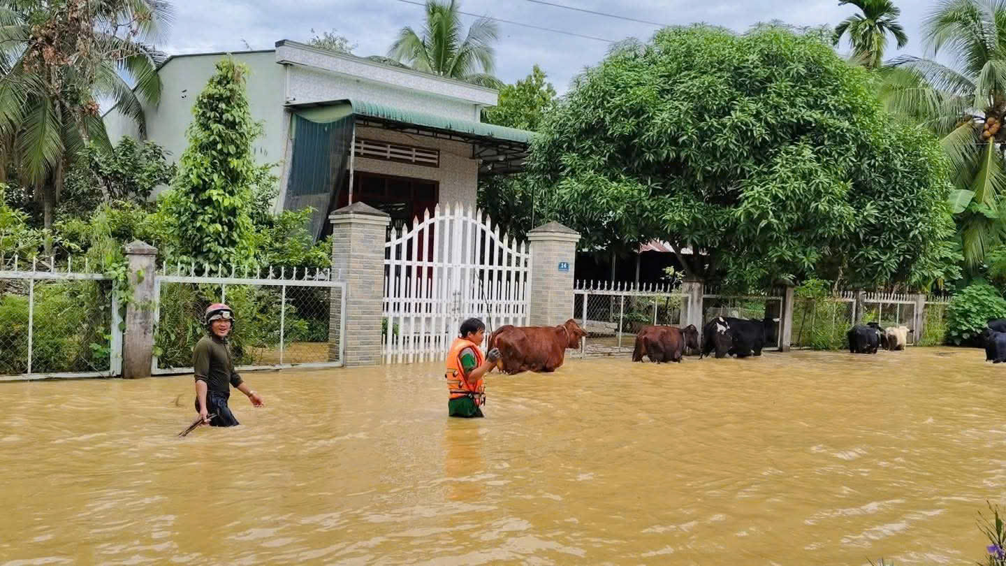 Đồng Nai đề nghị 17 thủy điện cung cấp thông tin xả lũ- Ảnh 2.